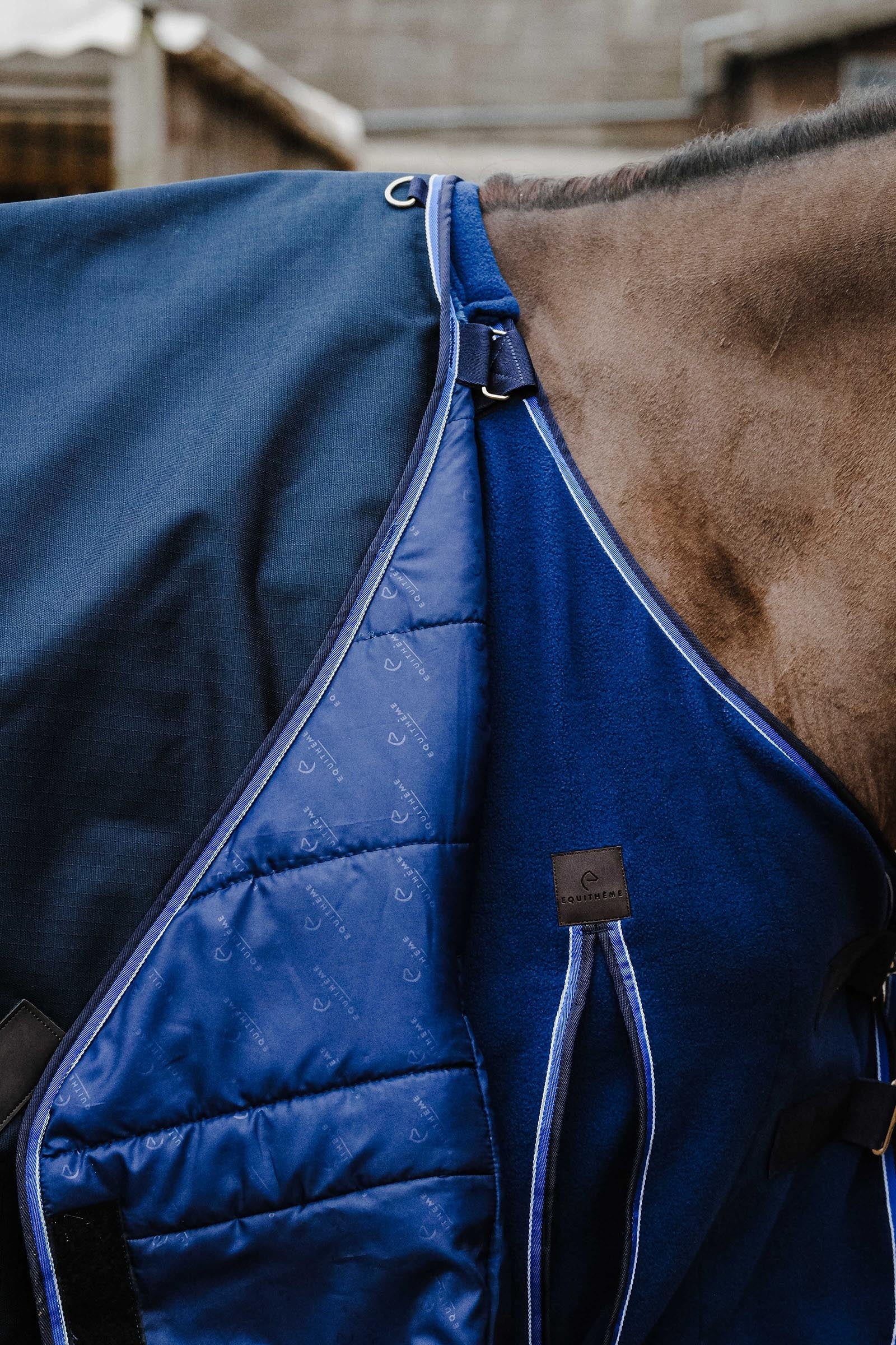 EQUITHÈME Classic 1200D Turnout Rug, 0 g Horse Rugs
