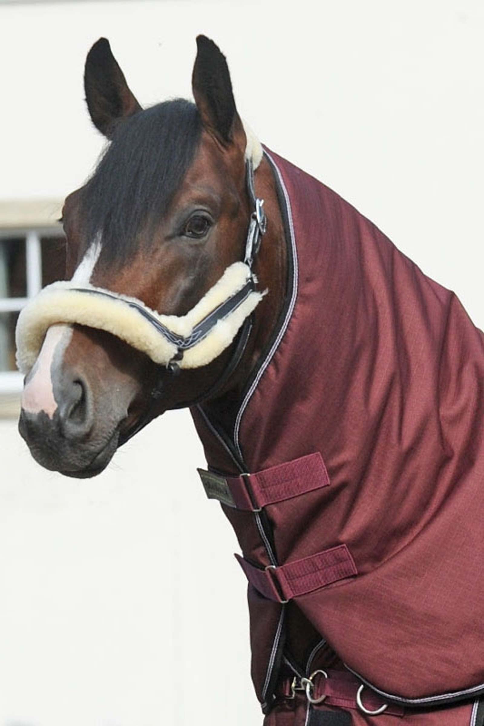 Kavalkade Neck för Alaska IV Halstäcke, 100 g Hästtäcken