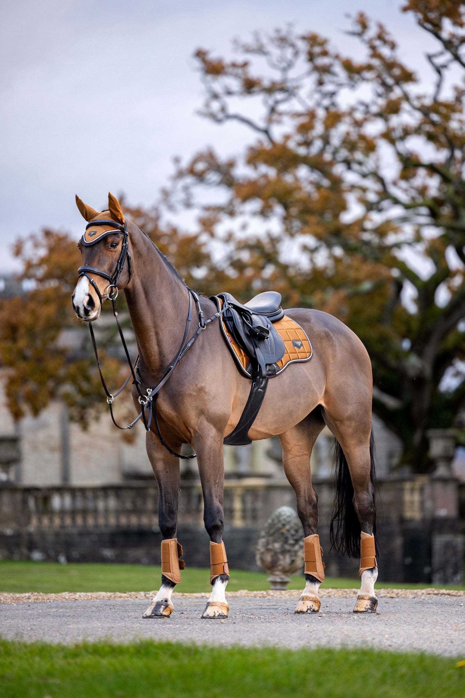 LeMieux Loire Classic Square All Purpose Saddle Pad Saddle Pads