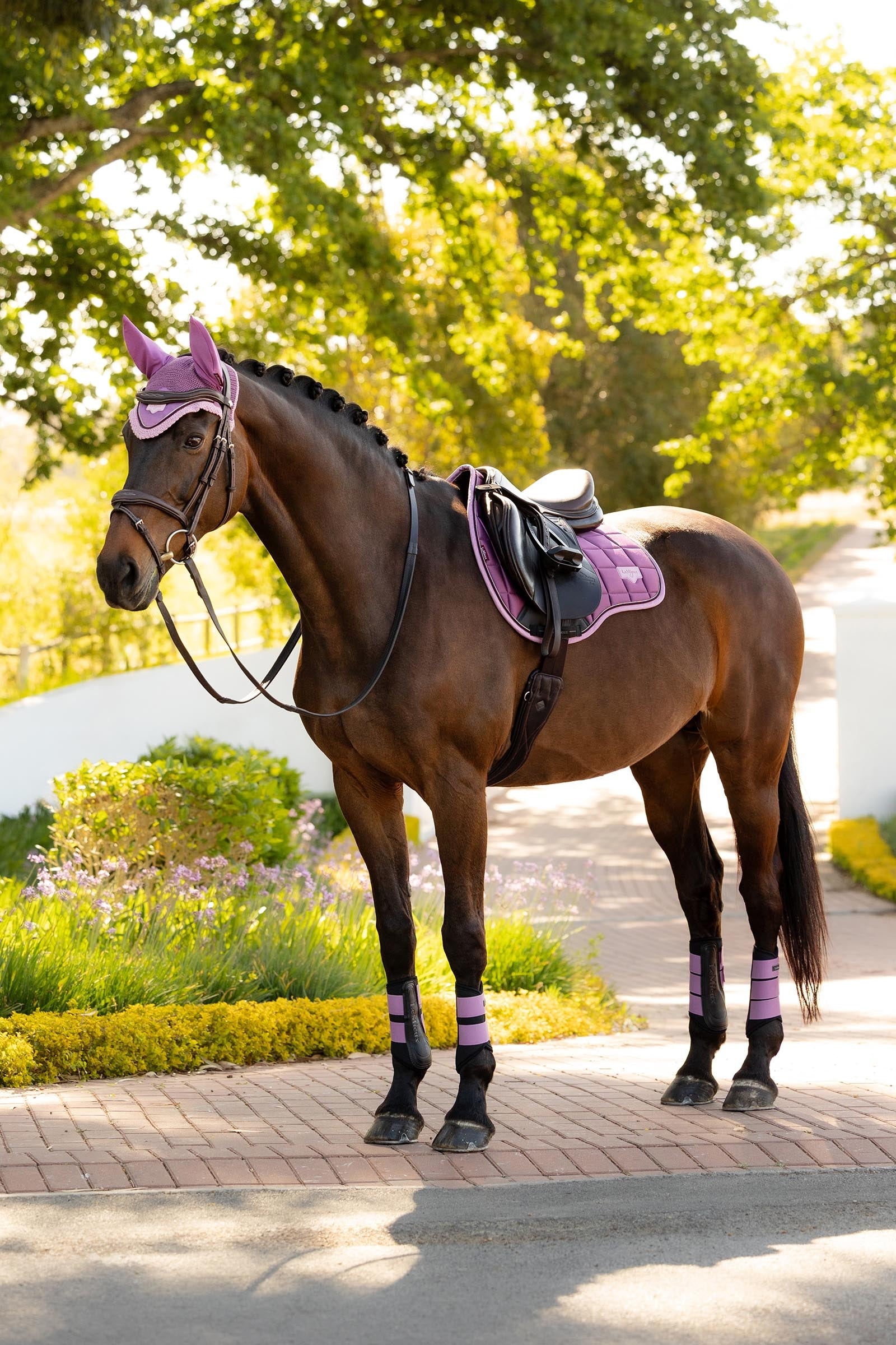 LeMieux Loire Classic Square All Purpose Saddle Pad Saddle Pads