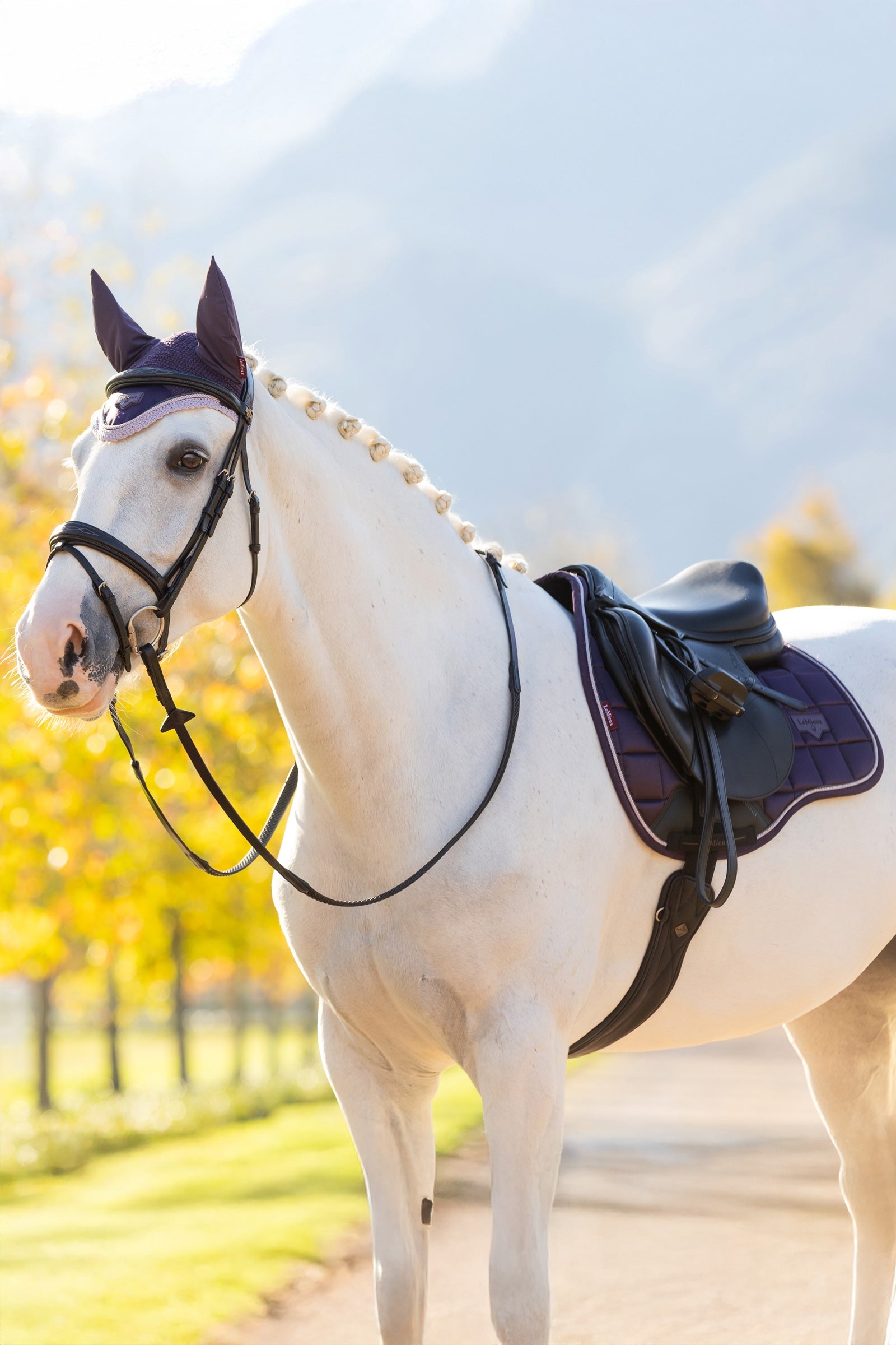 LeMieux Loire Classic Square All Purpose Saddle Pad Saddle Pads