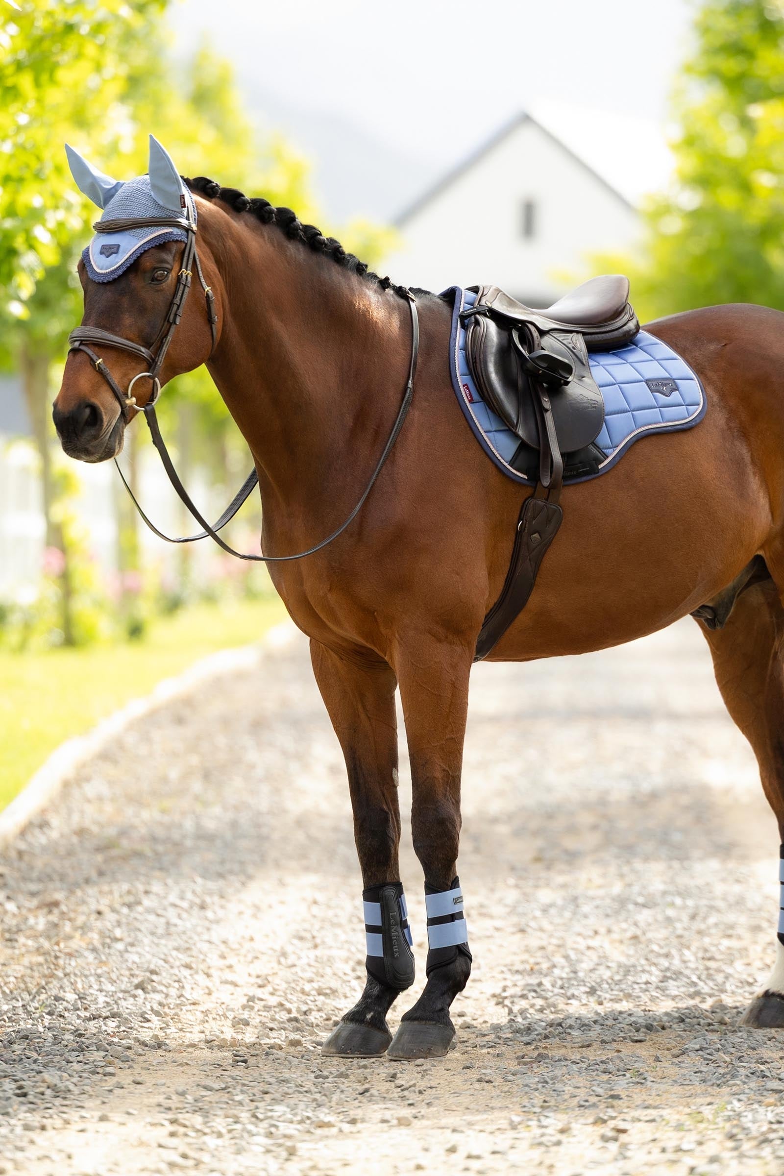 LeMieux Loire Classic Square All Purpose Saddle Pad Saddle Pads