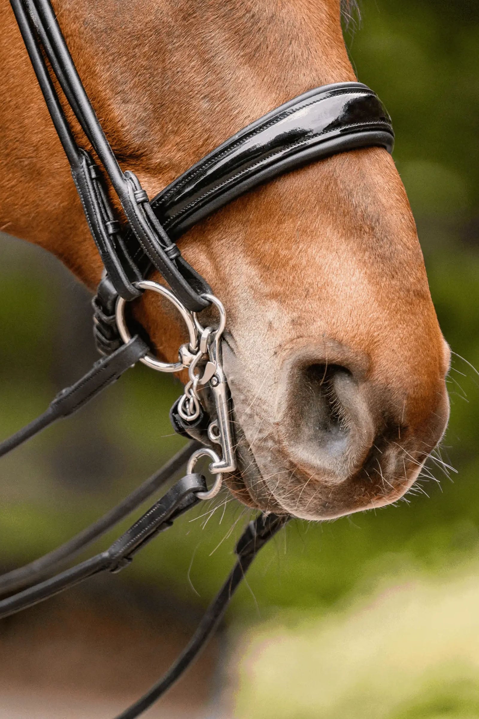 Sprenger Novocontact Weymouth 14mm 5cm Cheeks, Sensogan Horse Bits