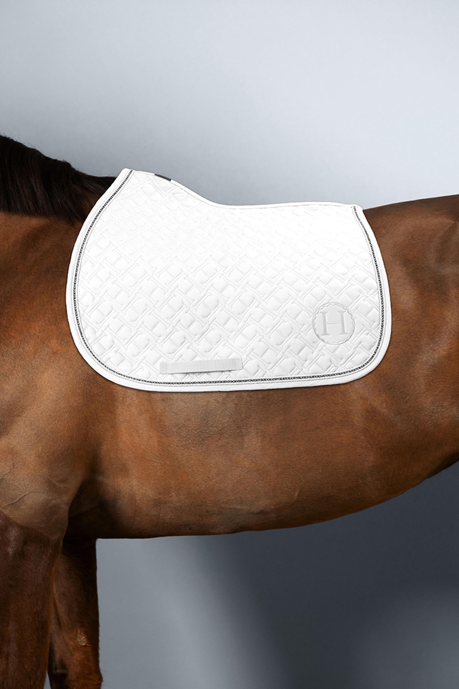 Harcour Saphir ponyschabrak Ponny & Shetland