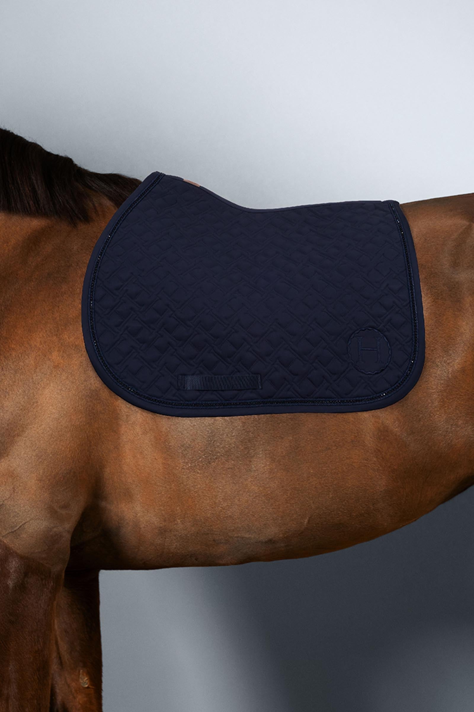 Harcour Saphir ponyschabrak Ponny & Shetland
