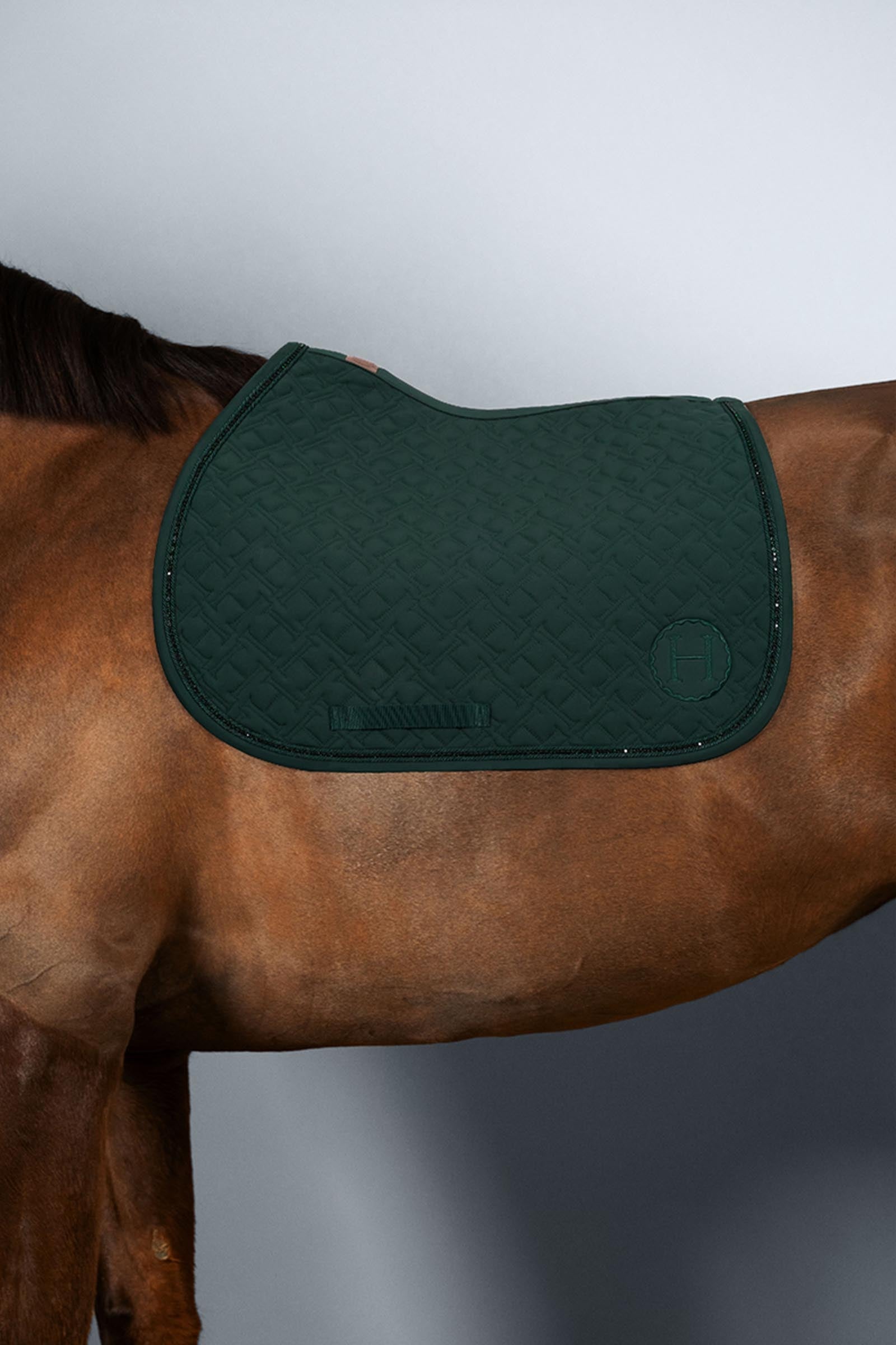 Harcour Saphir ponyschabrak Ponny & Shetland