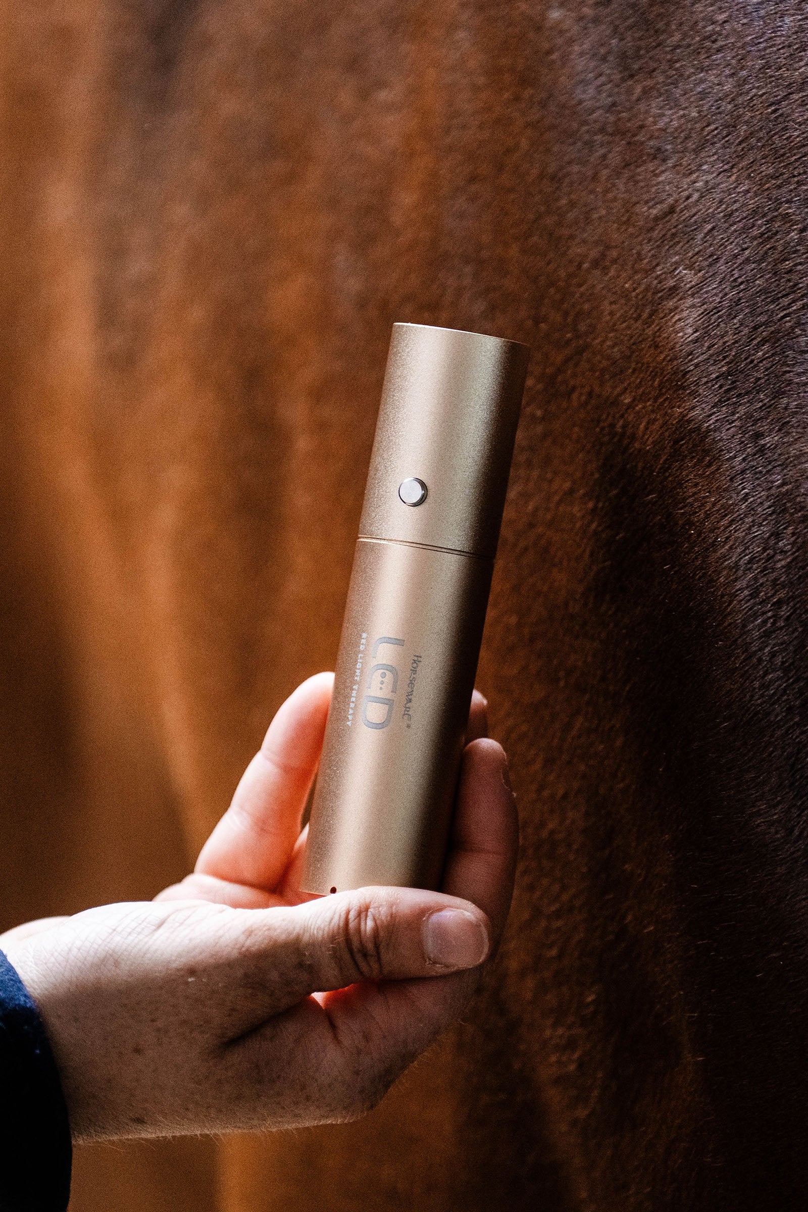 Horseware LED-rött ljusterapi Stav Hästtäcken