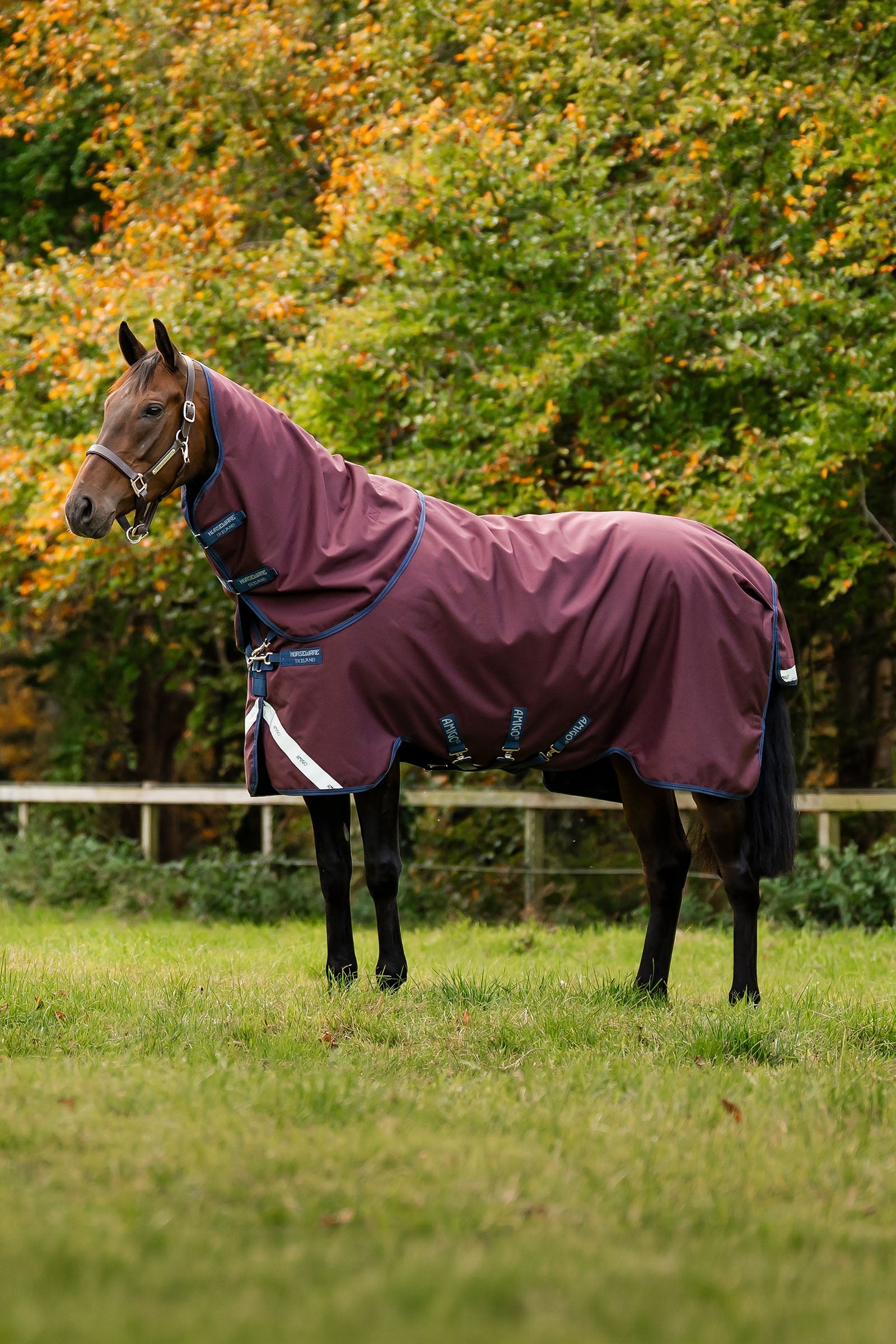 Horseware Amigo Bravo 12 Plus 100g Horse Rugs