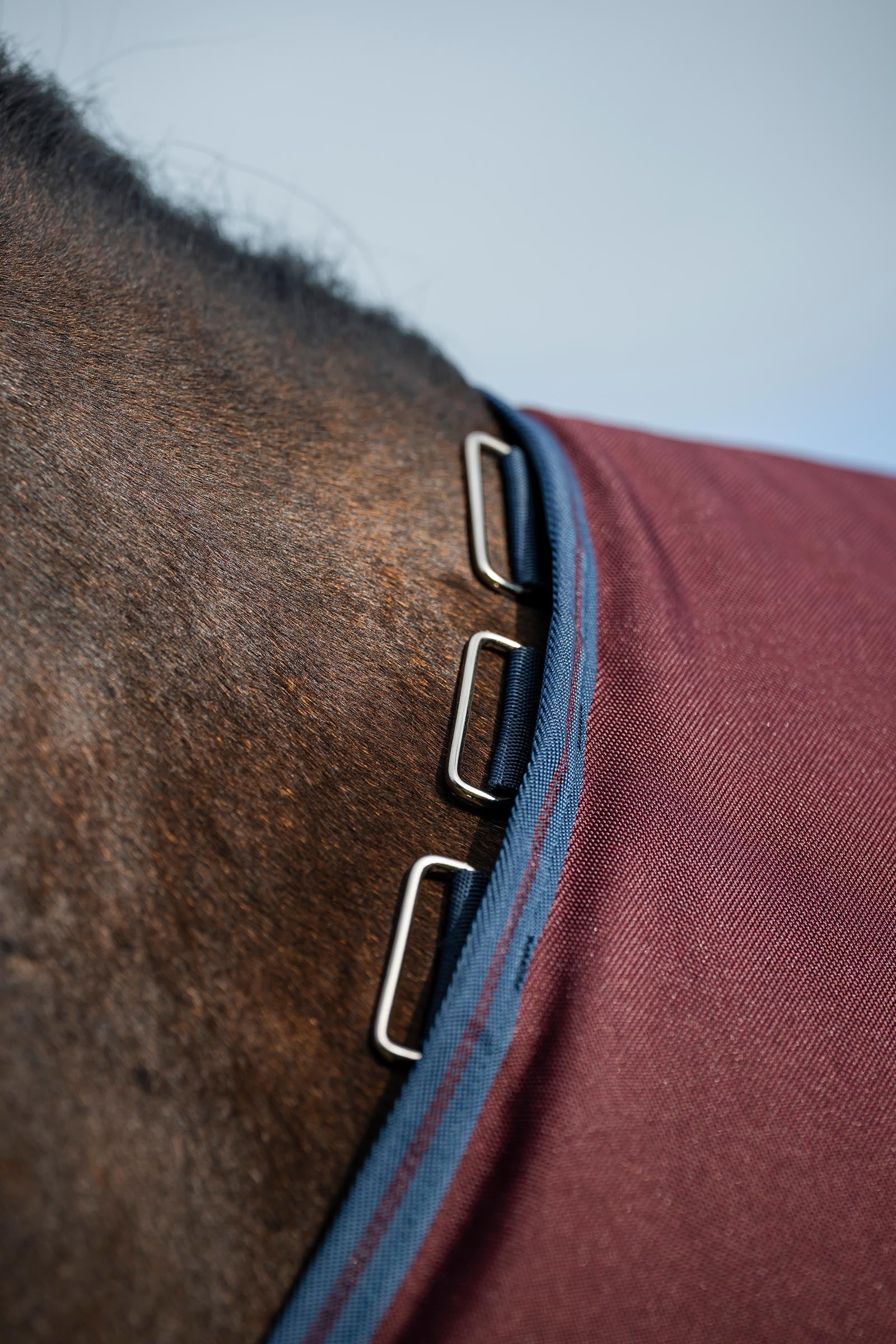 Horseware Amigo Bravo 12 Plus 100g Horse Rugs