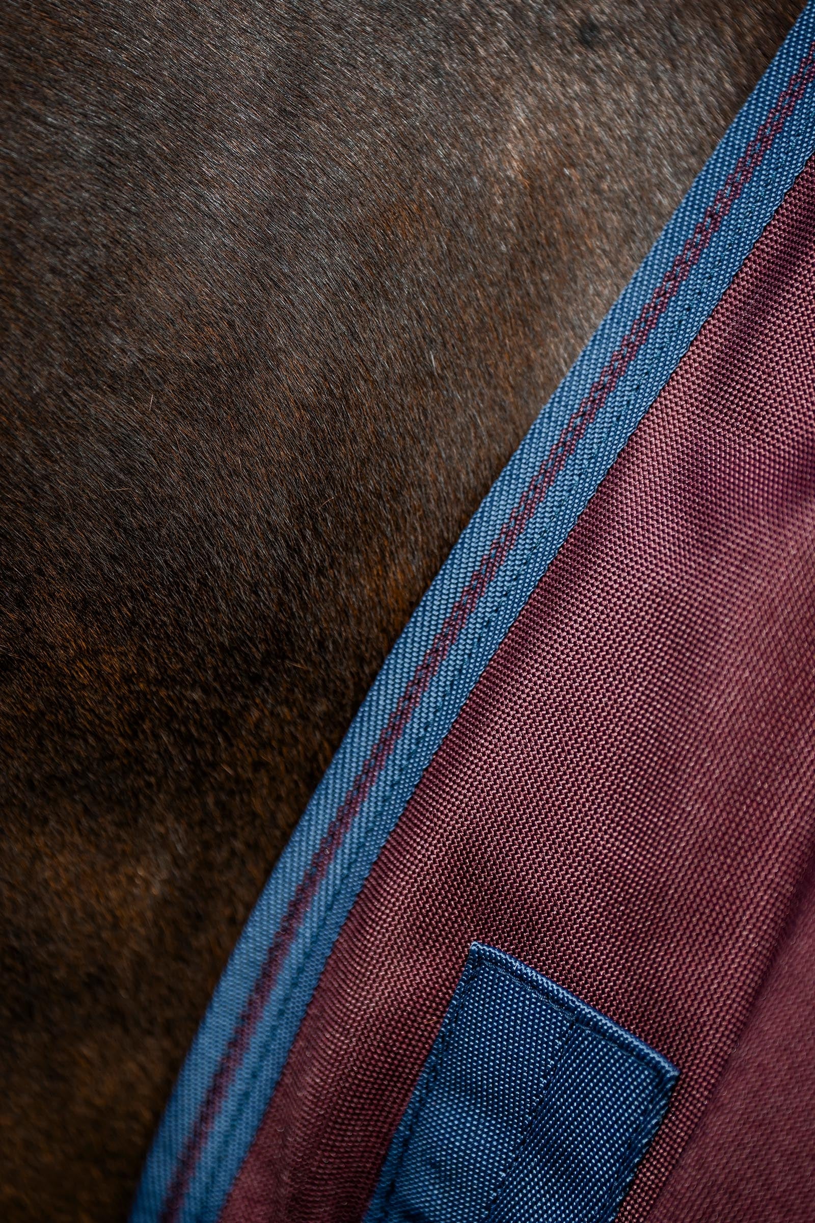 Horseware Amigo Bravo 12 Plus 100g Horse Rugs
