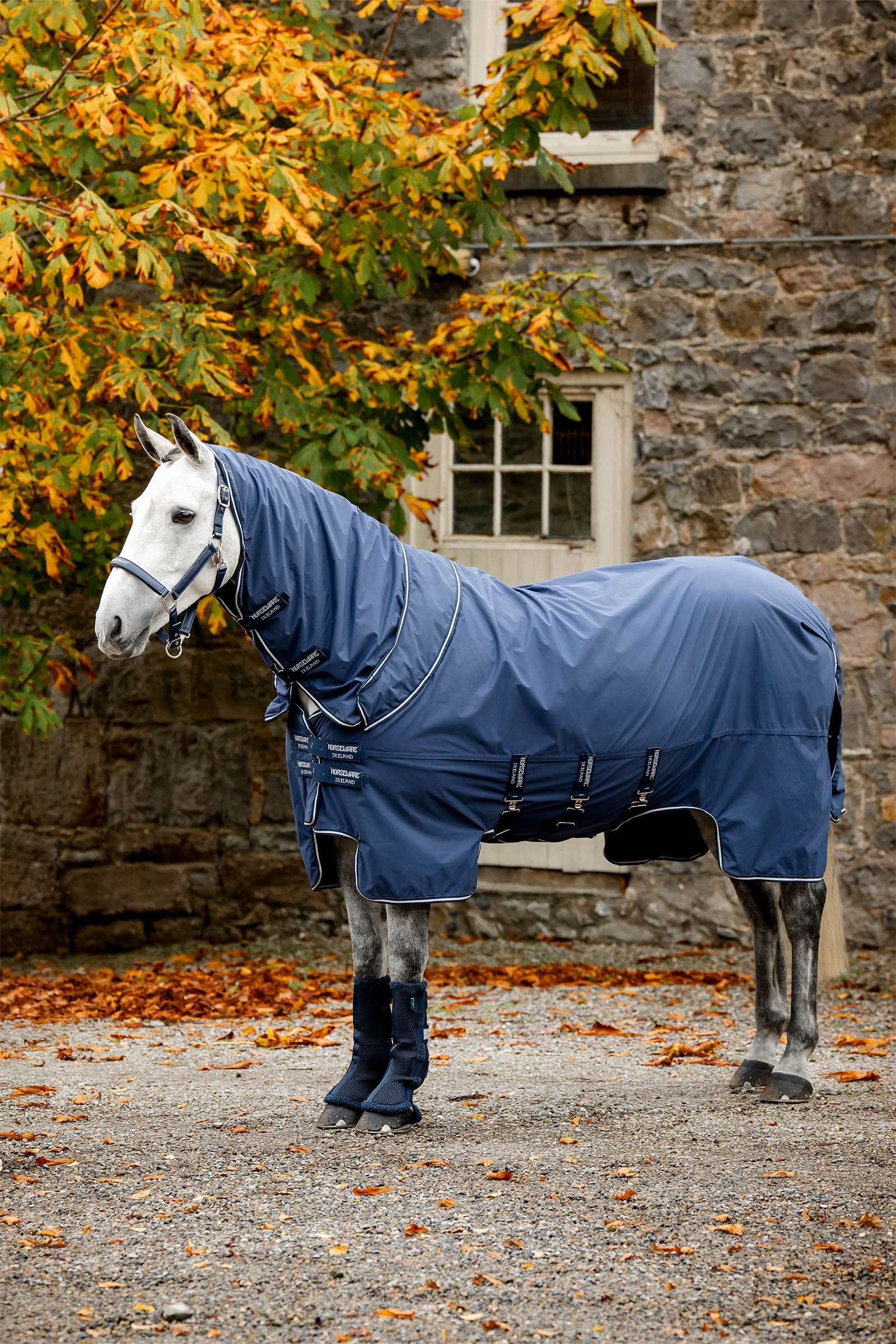 Horseware Show Ready Rug Horse Rugs