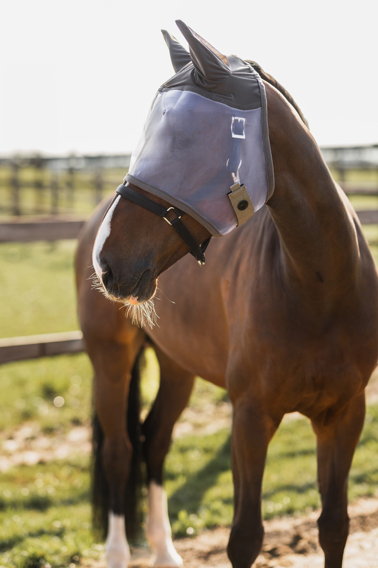Horze Mountain Essence Fly Mask Antifly Protection for Horses