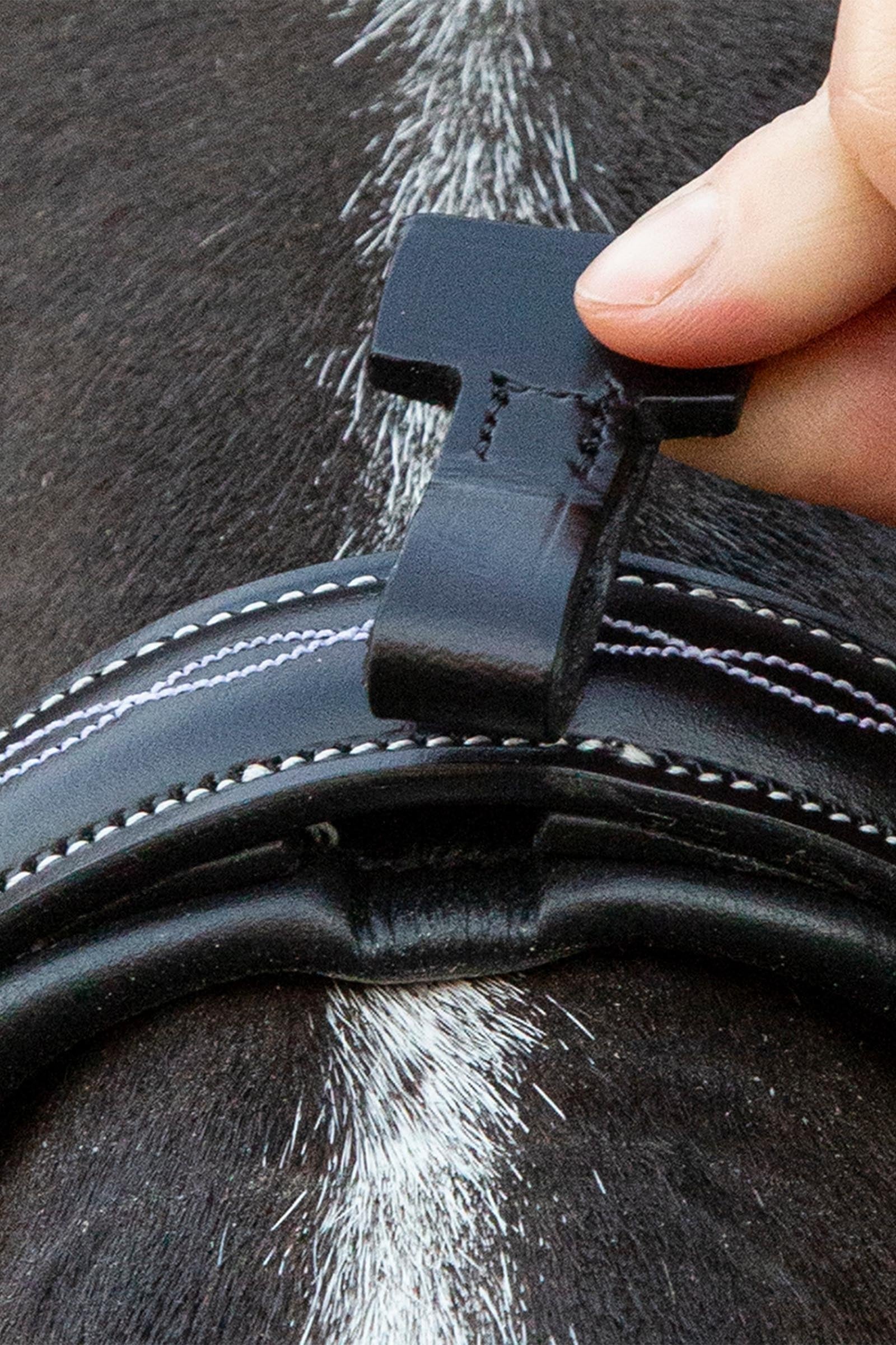 Schockemöhle Sports SP Monza F Bridle Bridles & Reins