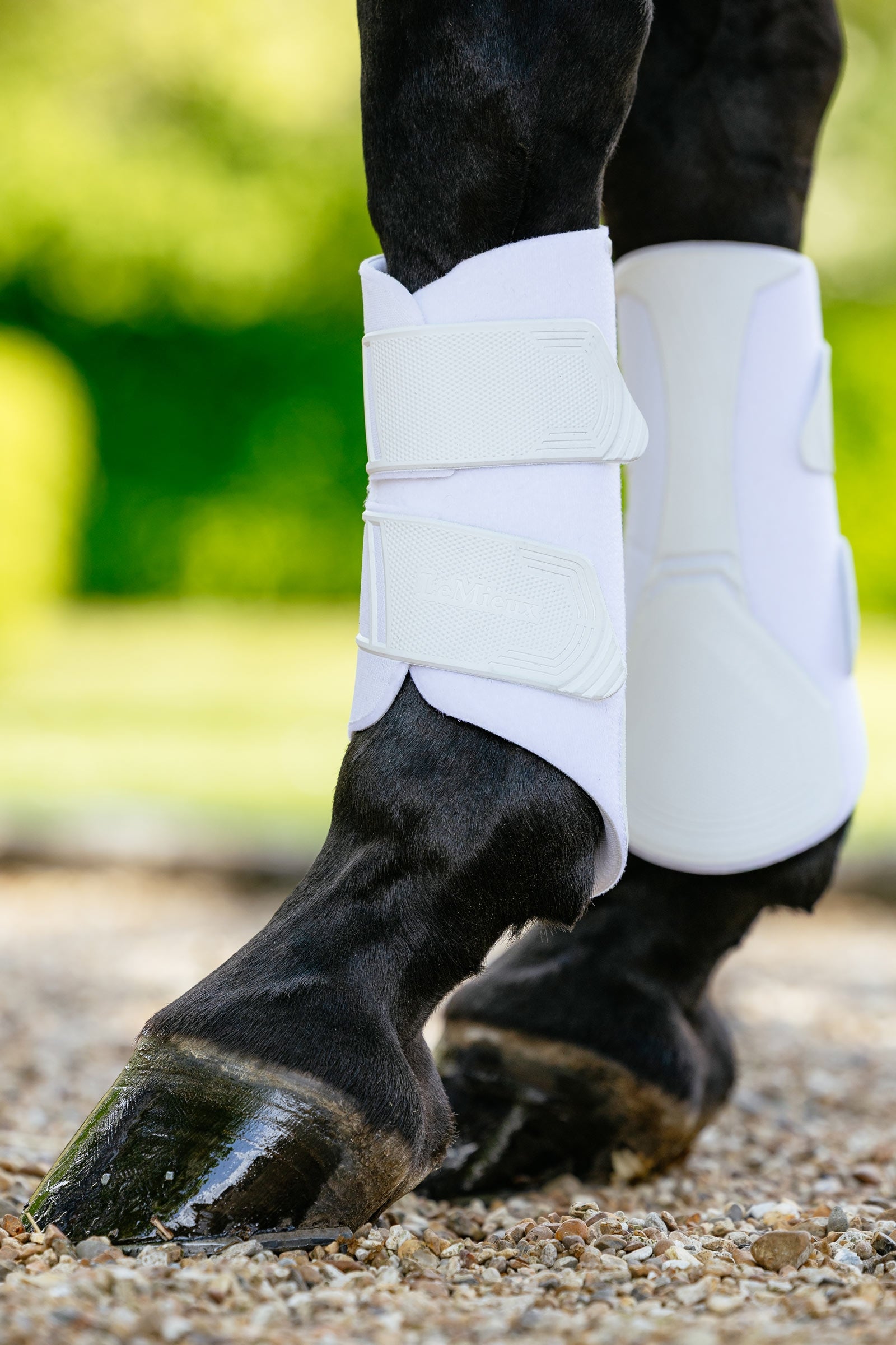 LeMieux Technical strykkappor Leg Protection & Hoof Protection for Horses