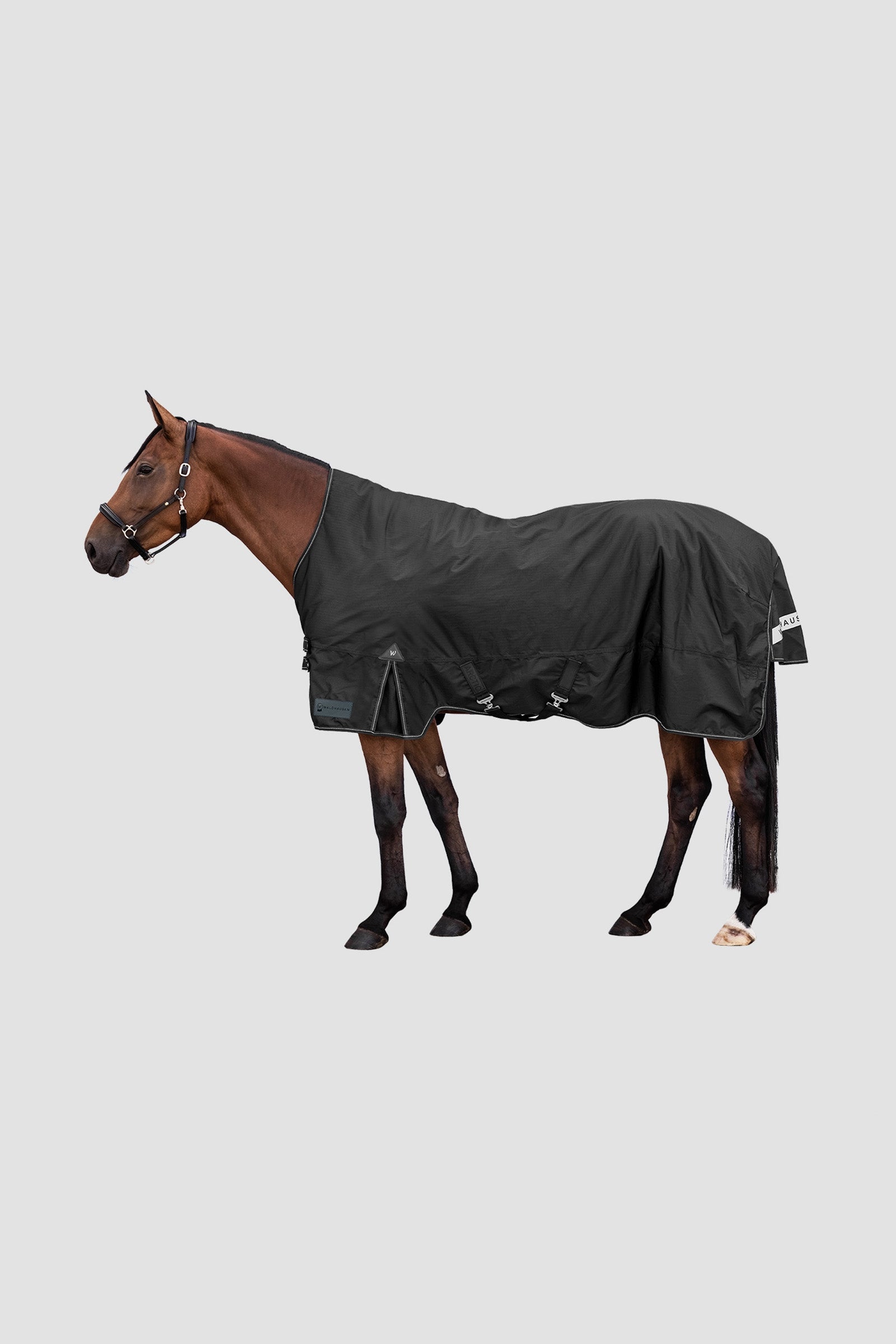Waldhausen Arctic Outdoor Rug With High Neck, 100 g Hästtäcken