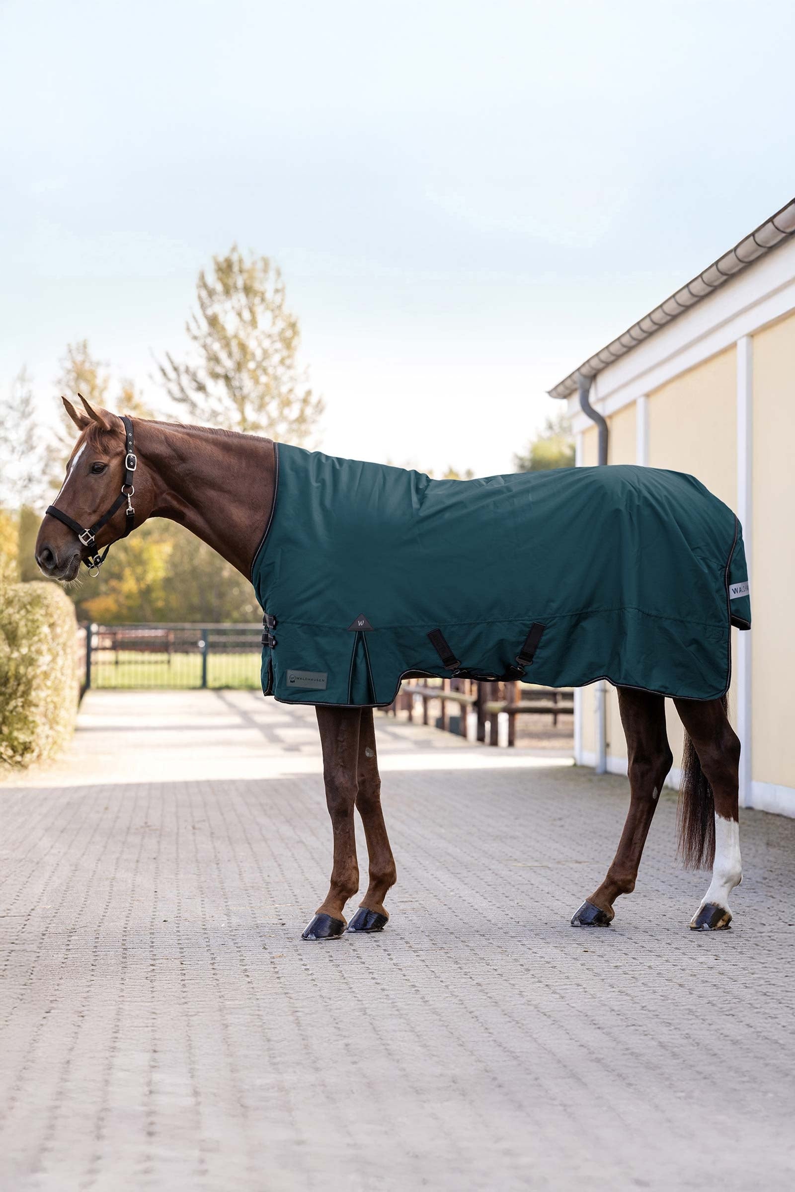 Waldhausen Arctic Outdoor Rug With High Neck, 100 g Hästtäcken