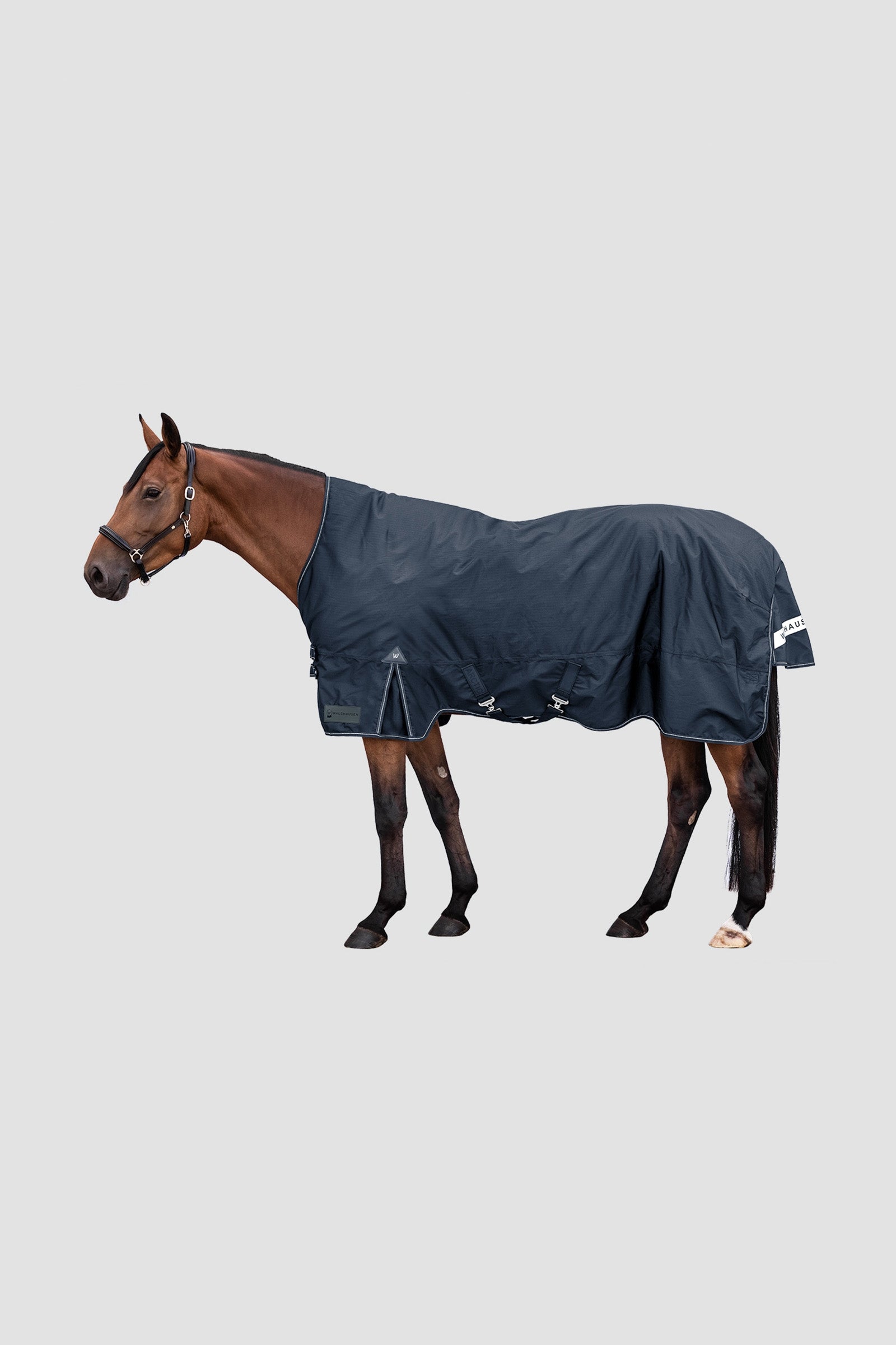 Waldhausen Arctic Outdoor Rug With High Neck, 100 g Horse Rugs