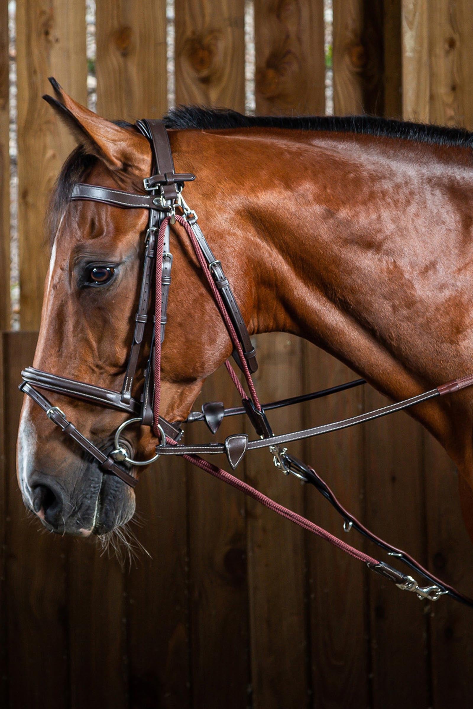 Dy'on Working Gogue Nylon Ropes Bridles & Reins