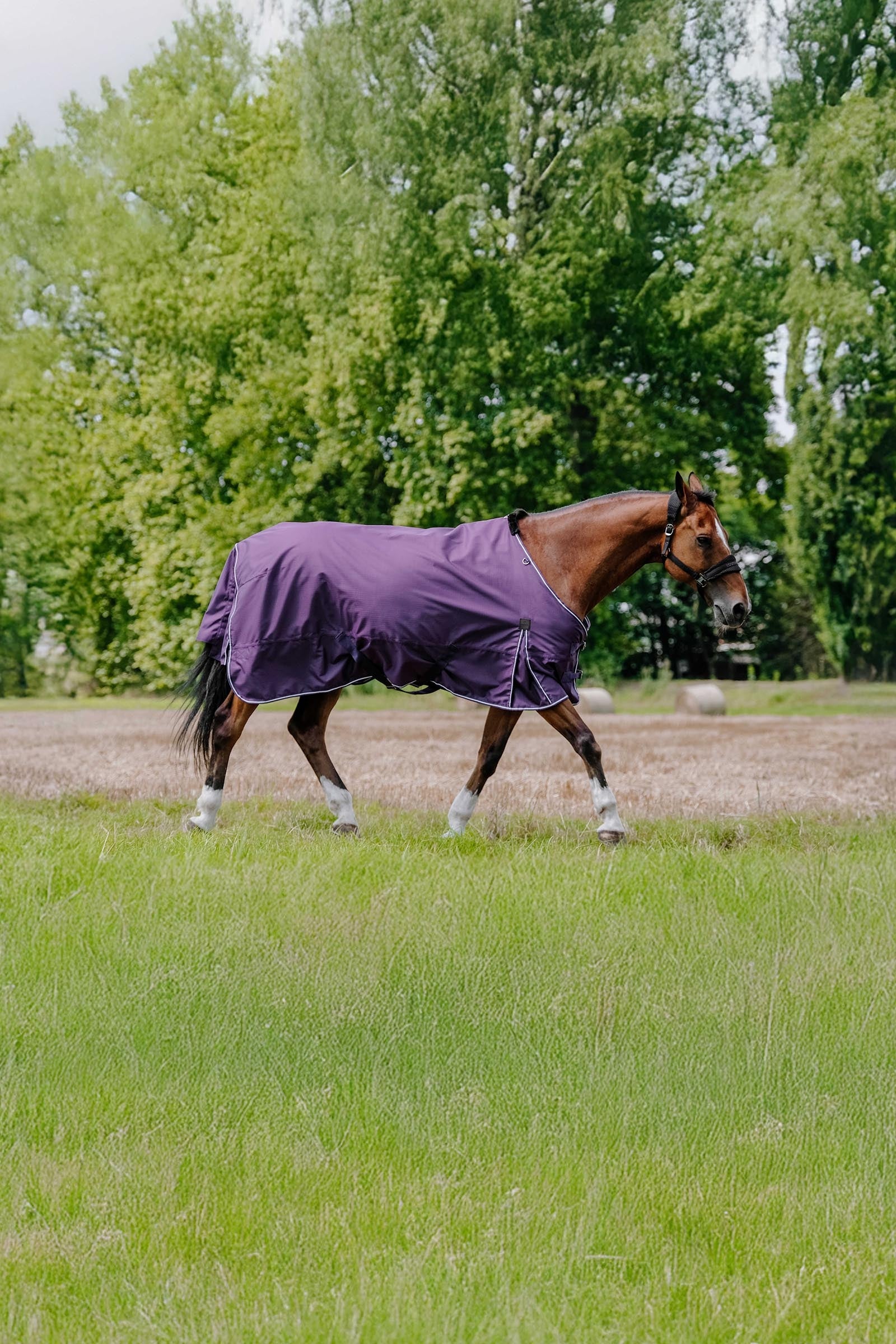 EQUITHÈME TYREX Aisance 600D utetäcke, 0 g Hästtäcken
