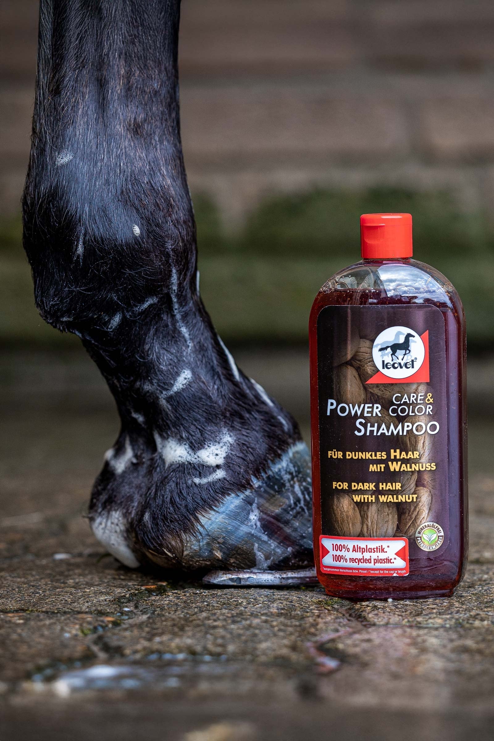 Leovet Power Shampoo Walnut Horse Health Care