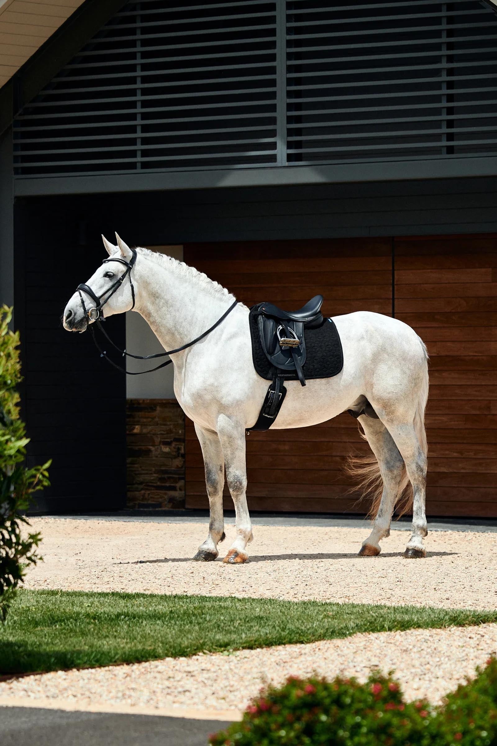 Weatherbeeta Suede Elite Air-Tec Dressage Saddle Pad Saddle Pads