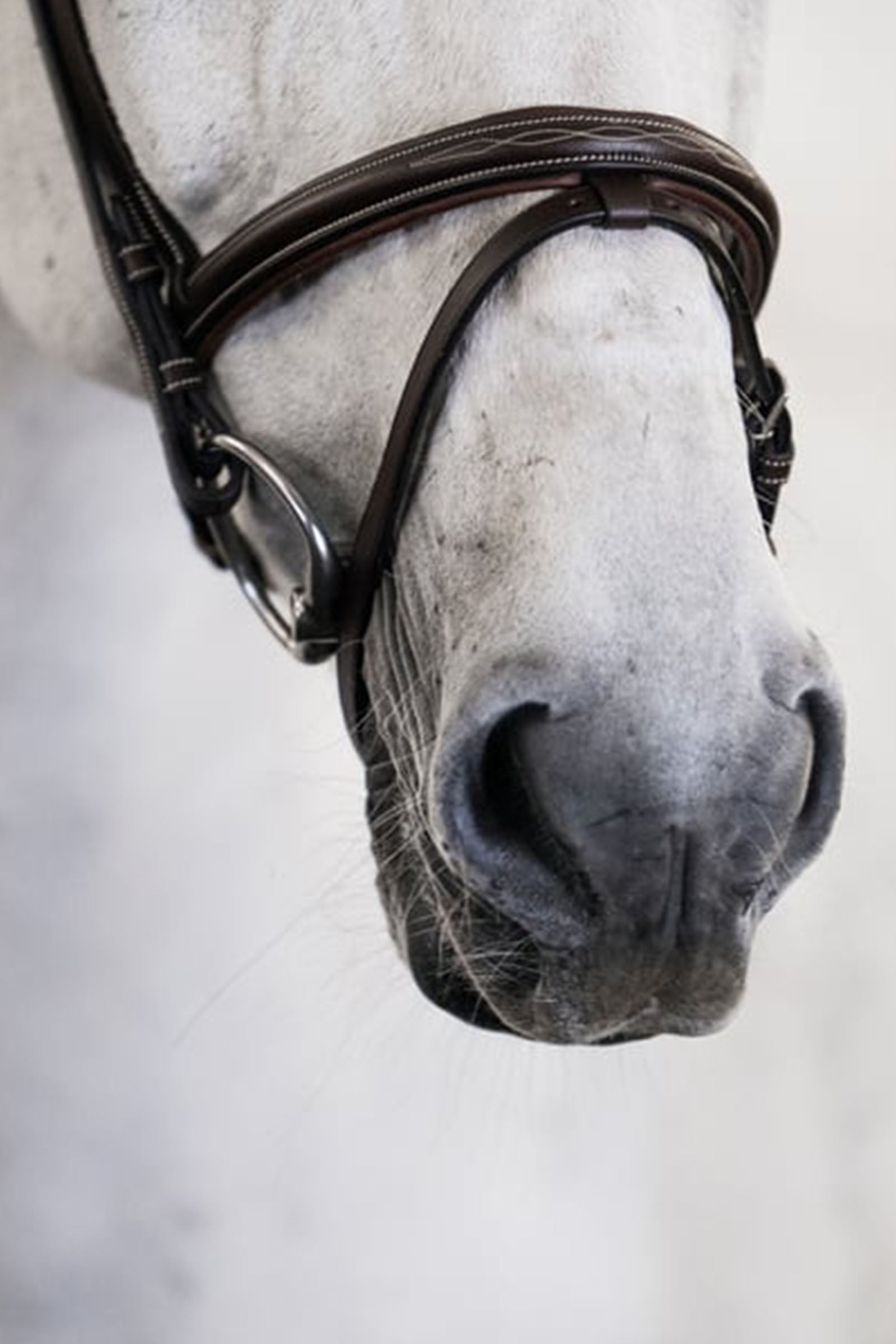 PS of Sweden bridle Stockholm Bridles & Reins