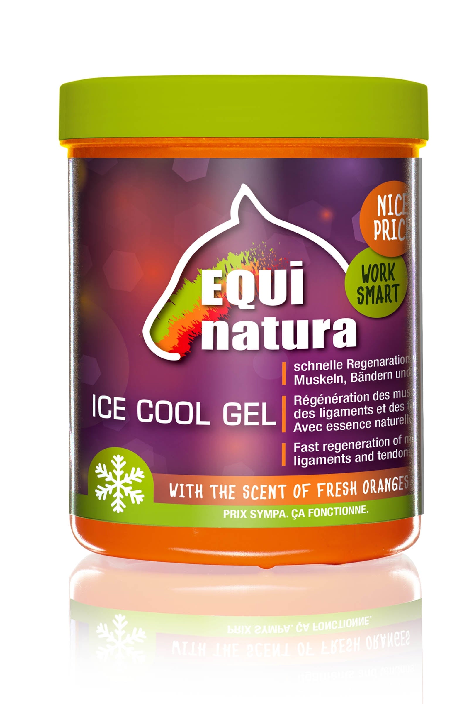 Equinatura Ice Cool Gel, 600 ml Horse Health Care