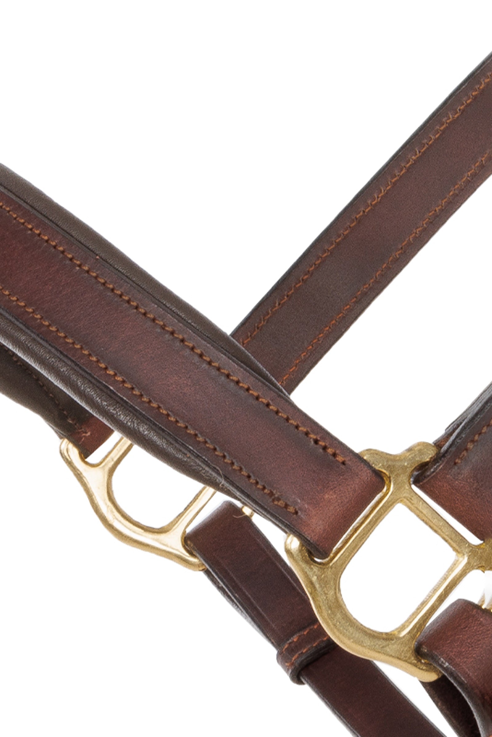 Kavalkade Leather halter Cinta Halters & Leads
