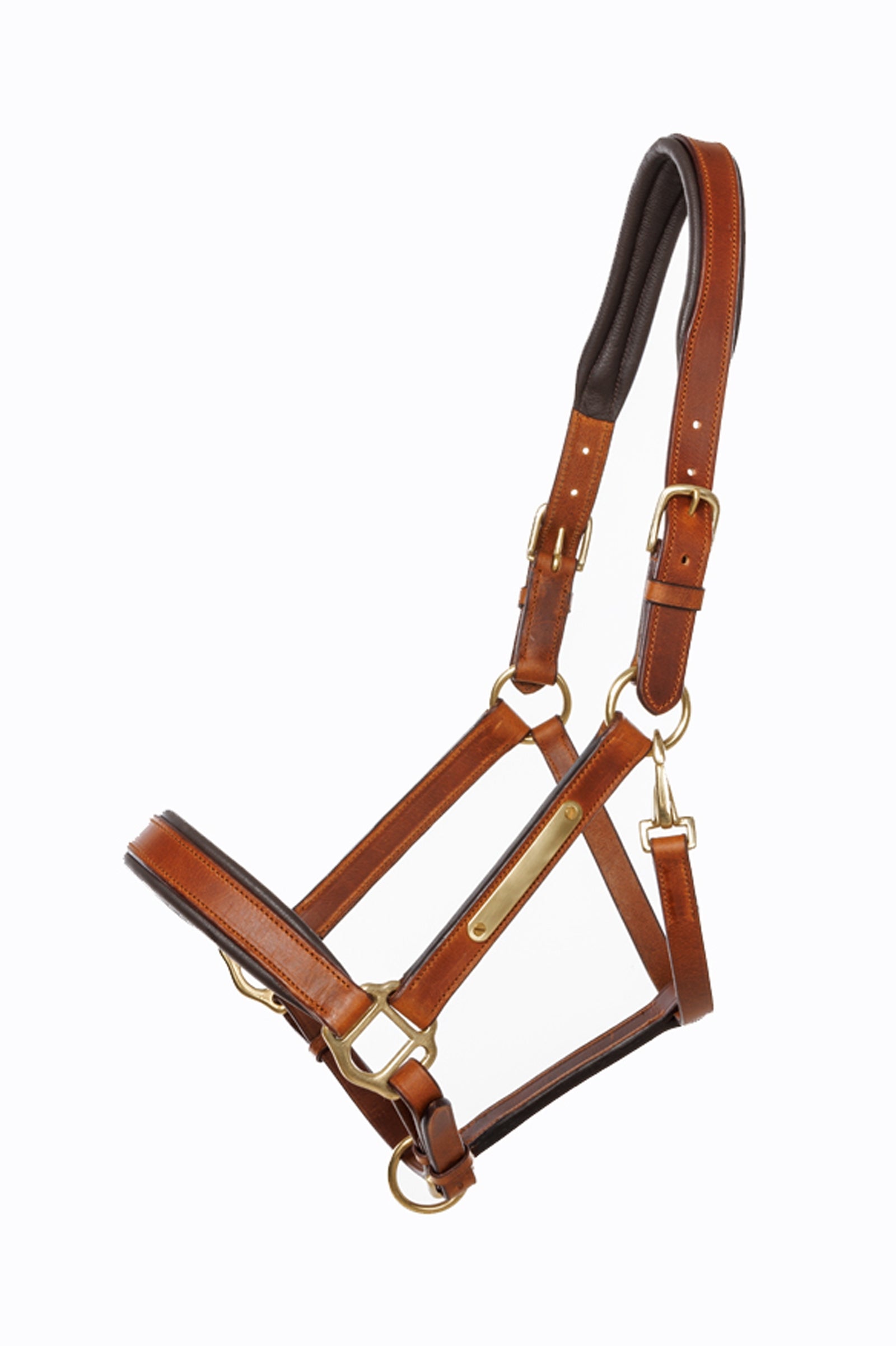 Kavalkade Leather halter Cinta Halters & Leads