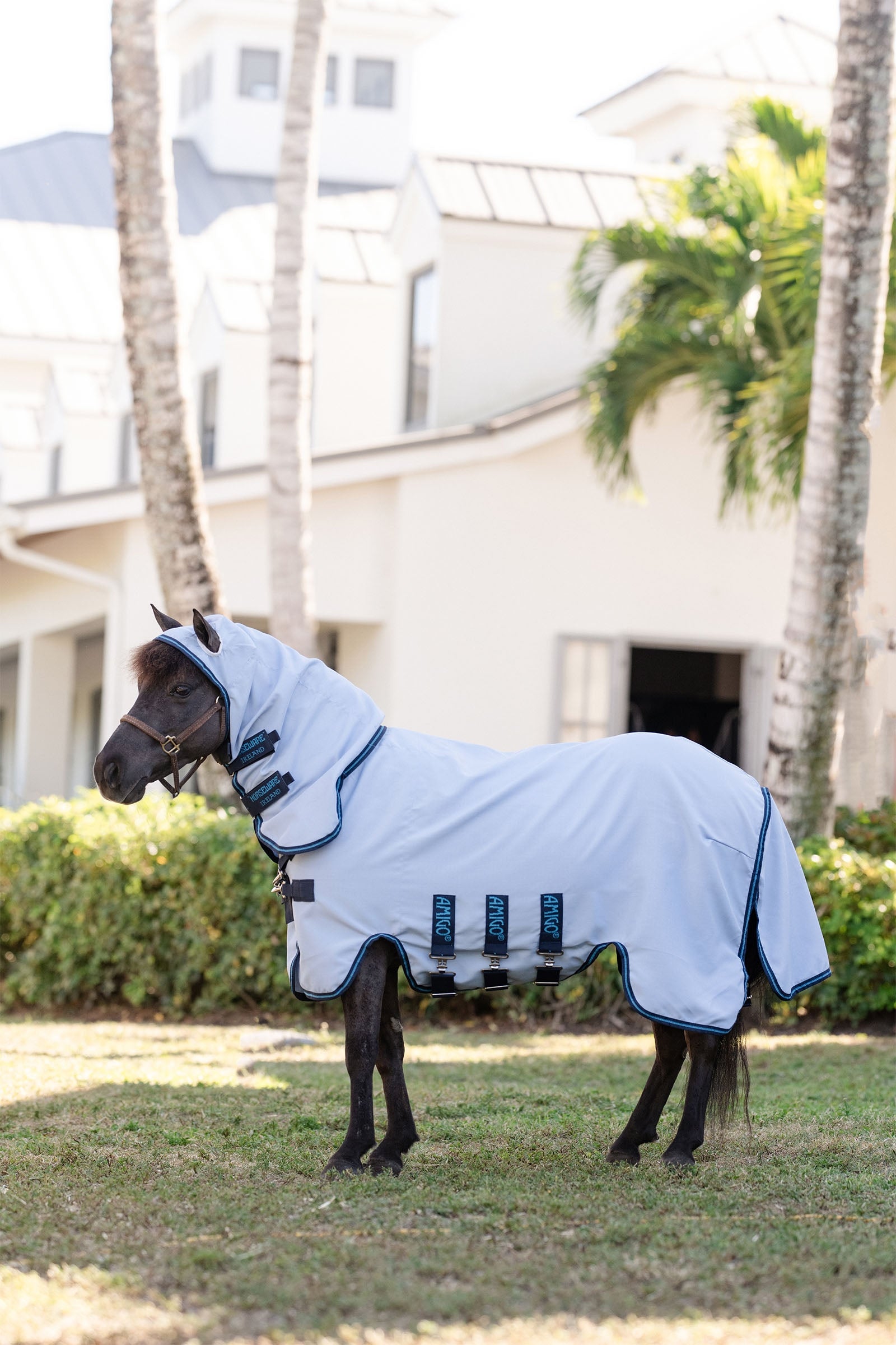 Horseware Amigo Ripstop Hoody Petite, flugtäcke Hästtäcken