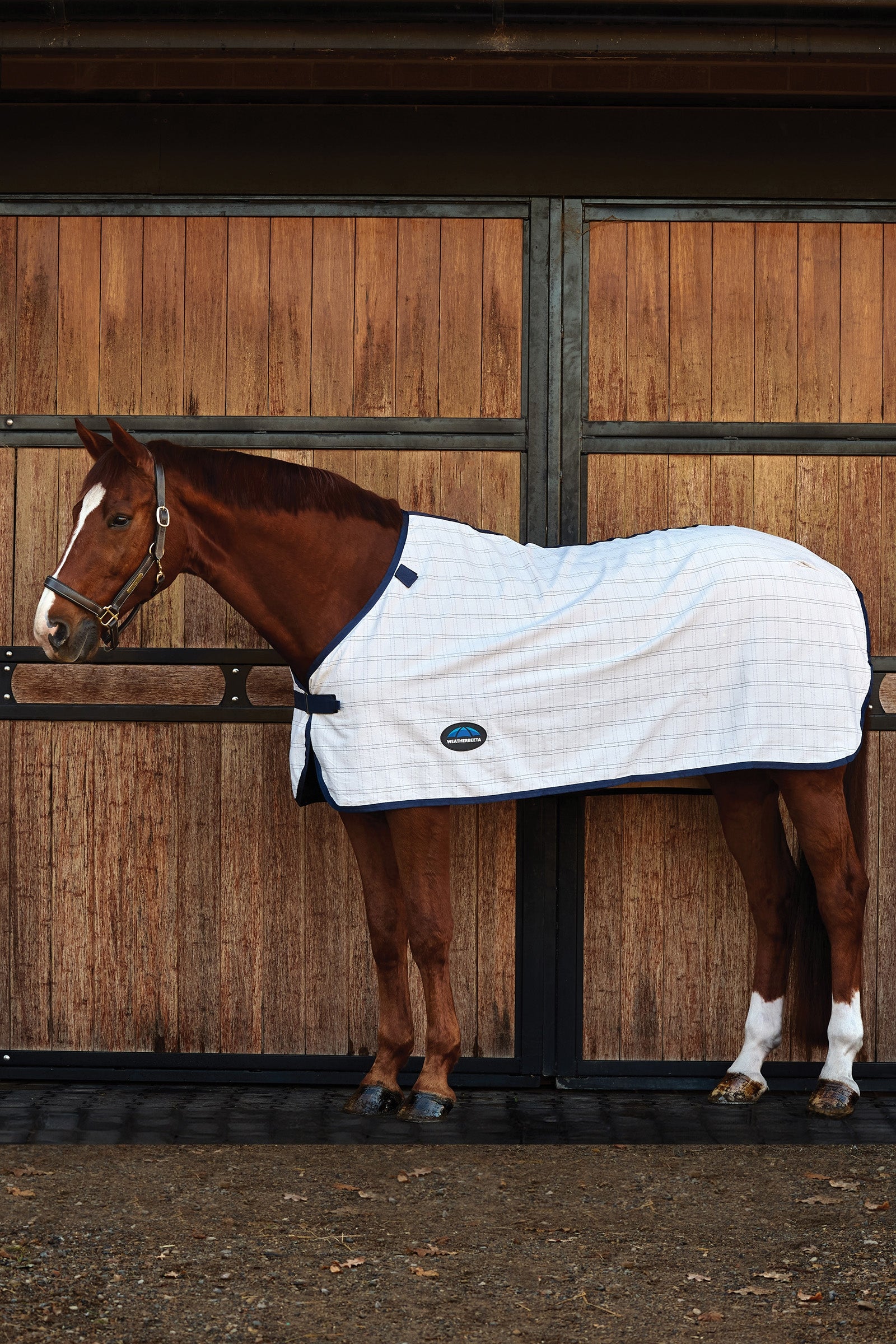 Weatherbeeta ComFiTec Cotton-Liner Hästtäcken