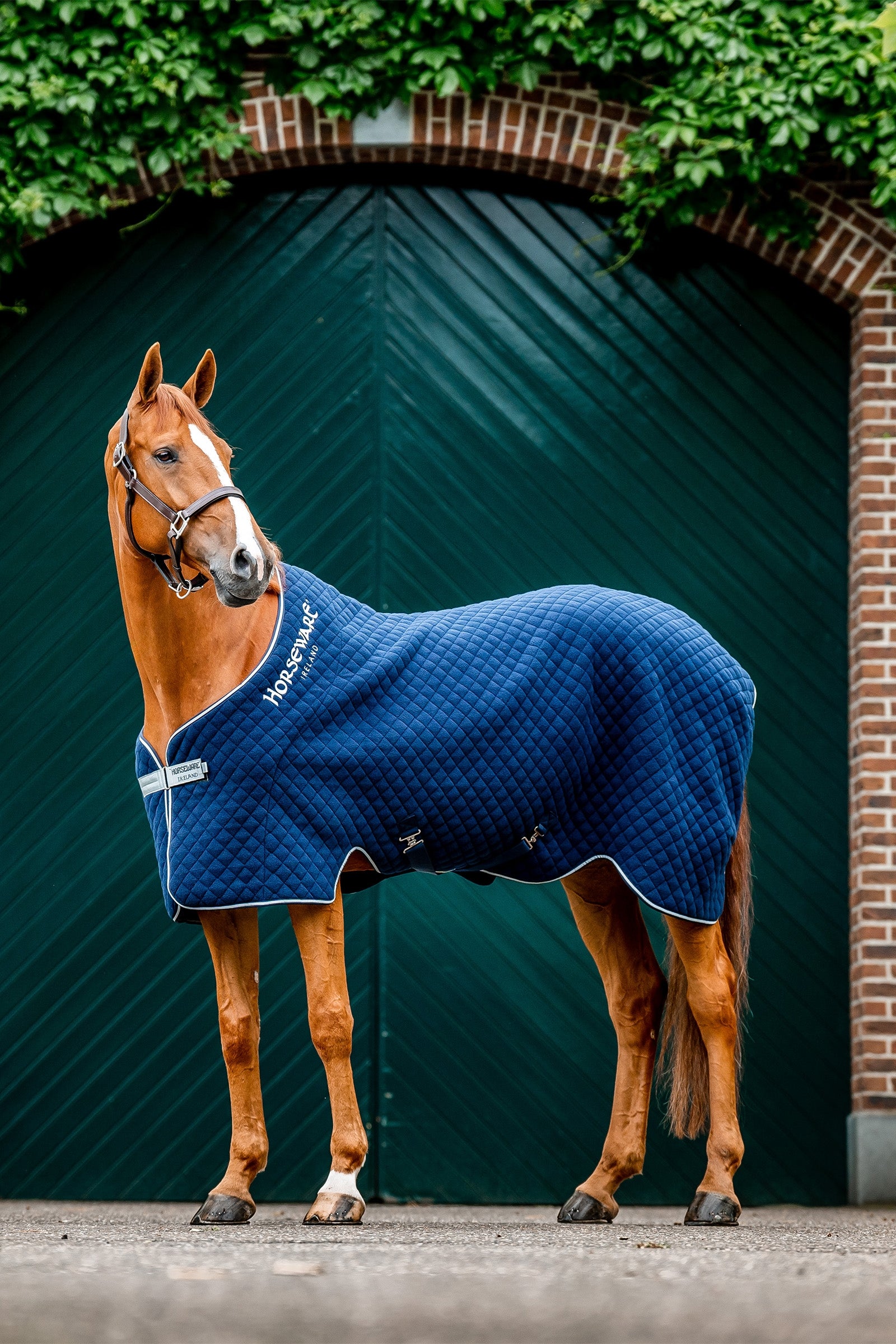 Horseware Autumn svettäcke Hästtäcken