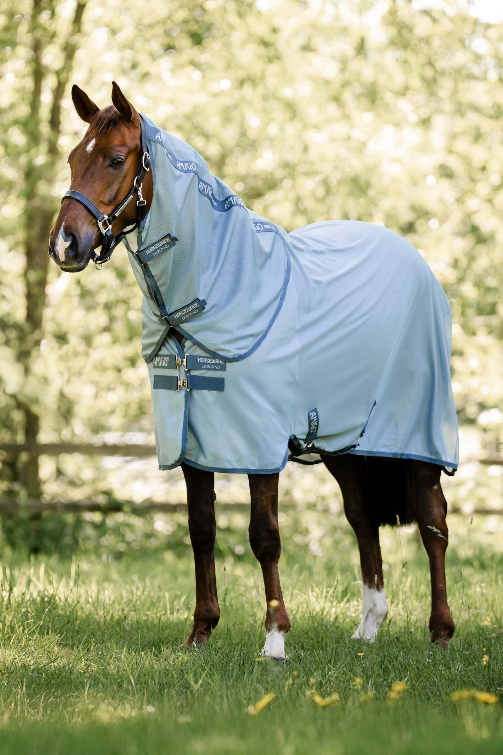 Horseware Amigo Bug Rug Plus Horse Rugs