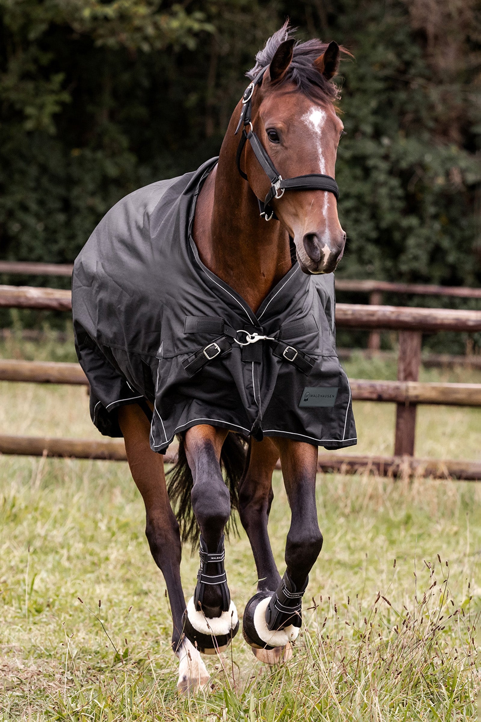 Waldhausen Outdoor Rug Scandic 300 g Horse Rugs