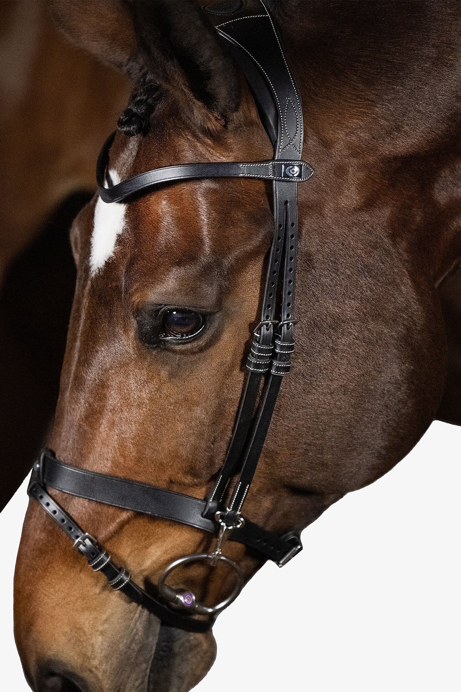 PS of Sweden London Bridle Träns & Tyglar