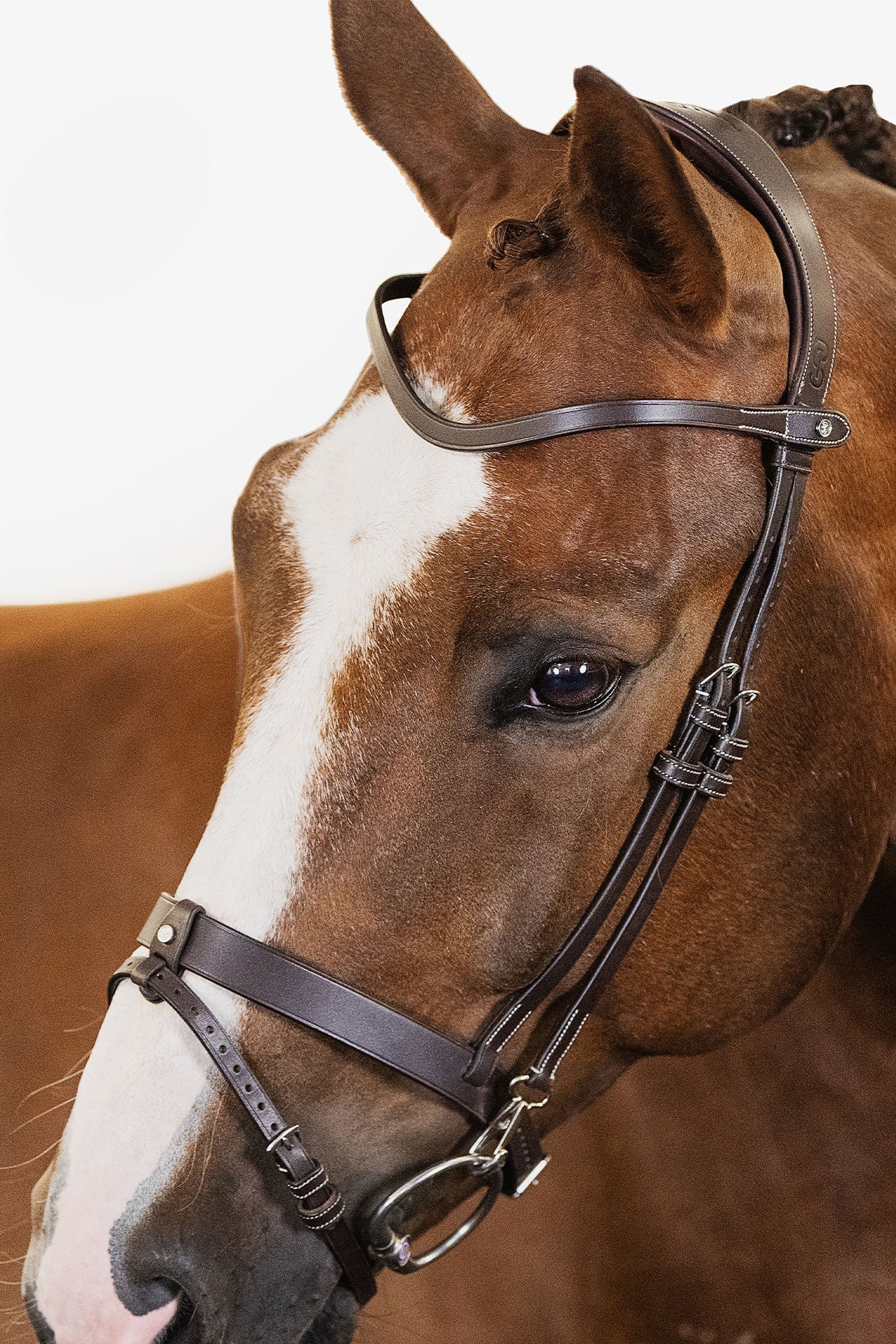 PS of Sweden London Bridle Träns & Tyglar