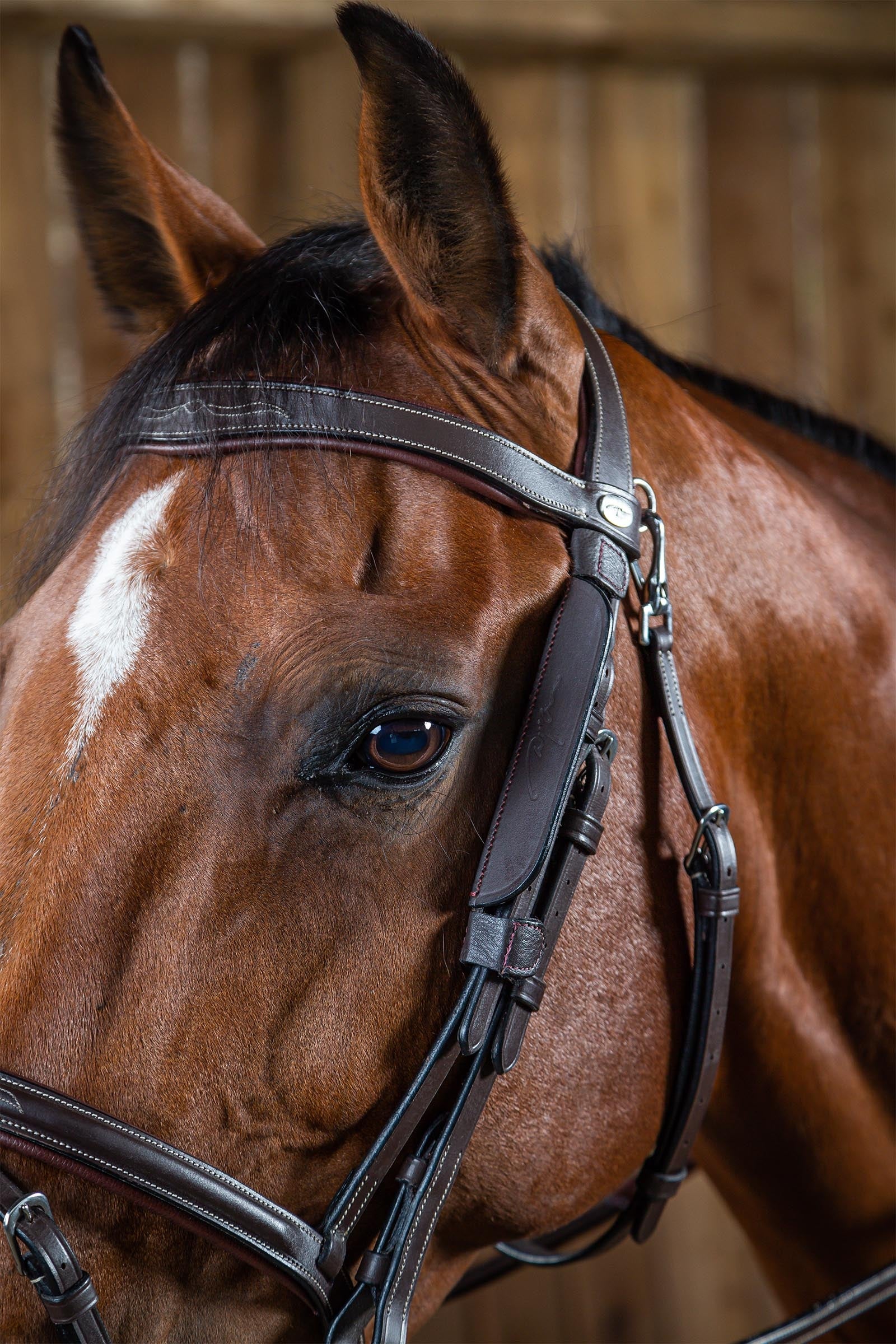Dy'on Working Blinkers Bridles & Reins