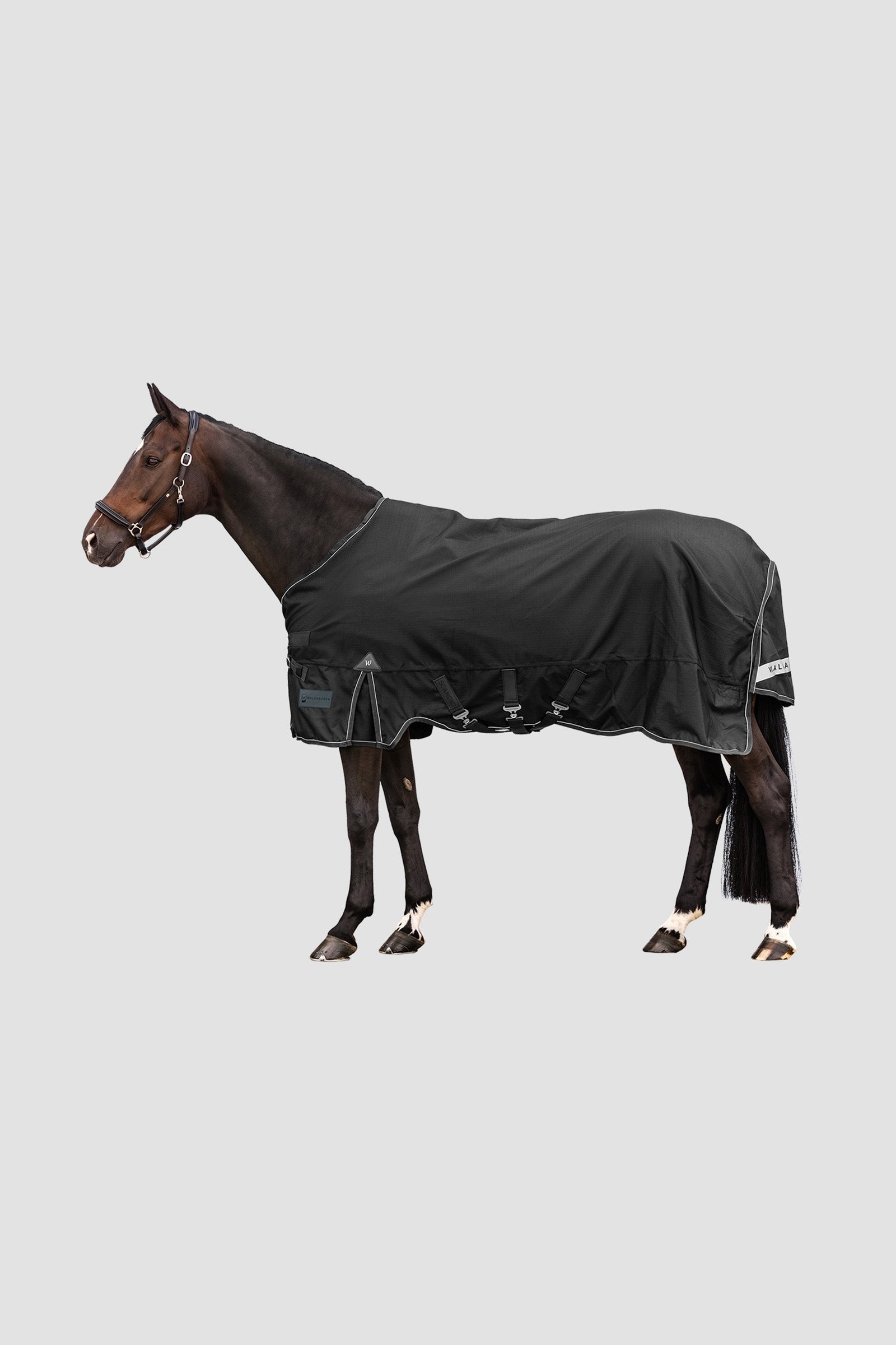 Waldhausen Outdoor Rug Scandic Multi-Layer 150g/50g Hästtäcken