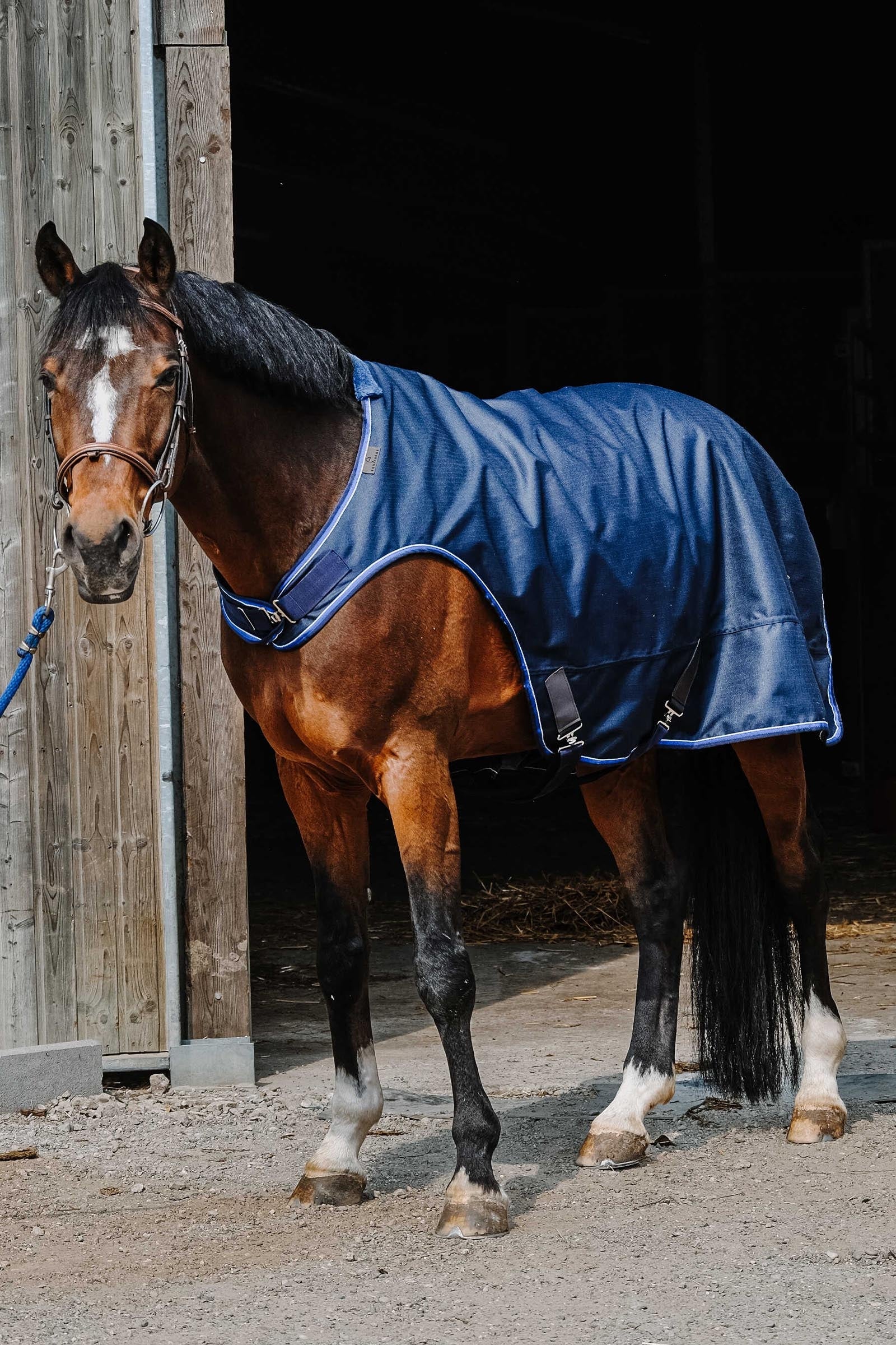 EQUITHÈME Classic 1200D Walker Sheet Horse Rugs
