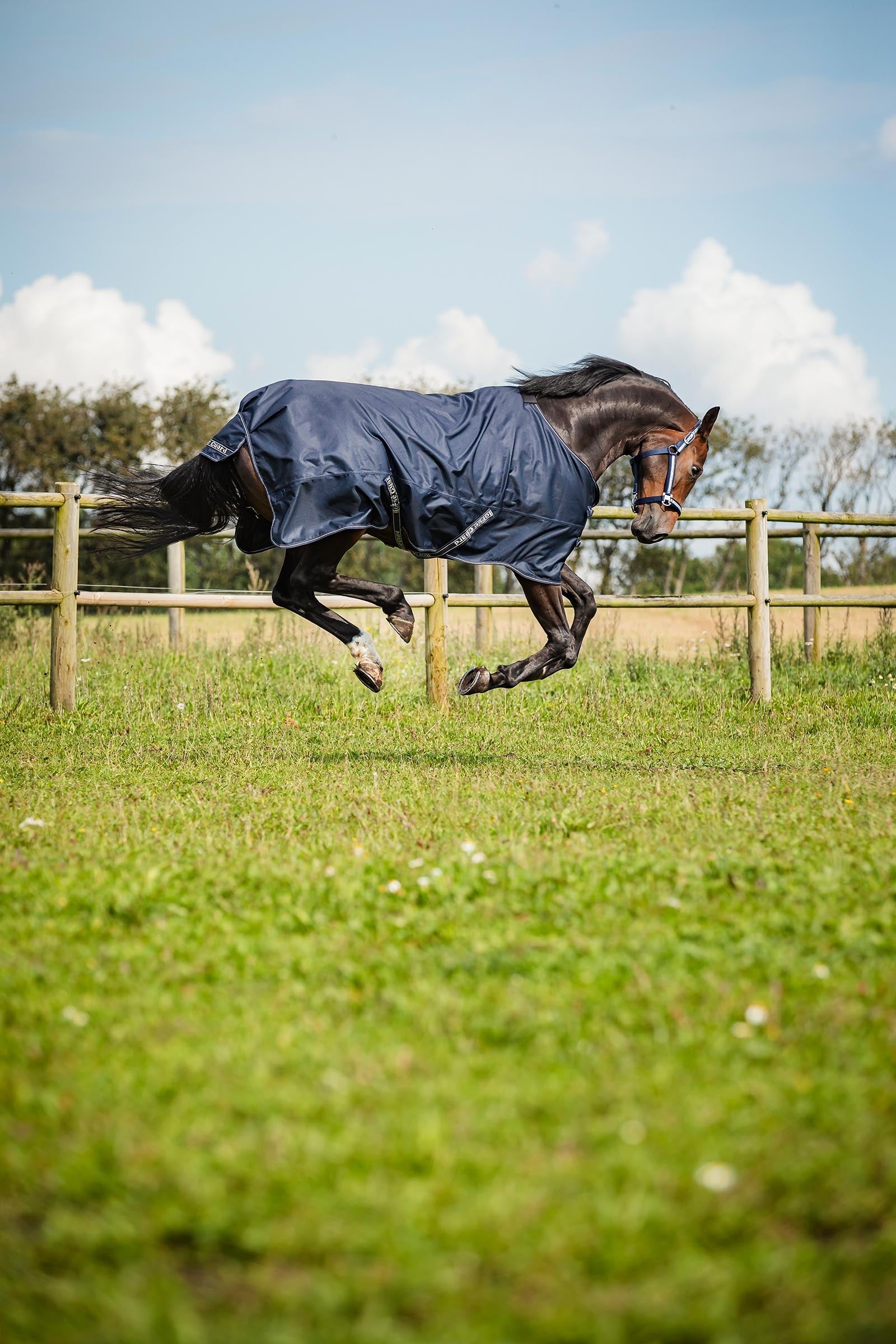 Horse Guard HorseGuard Landon 1200D Turnout Rug Standard Neck, 0 g Horse Rugs