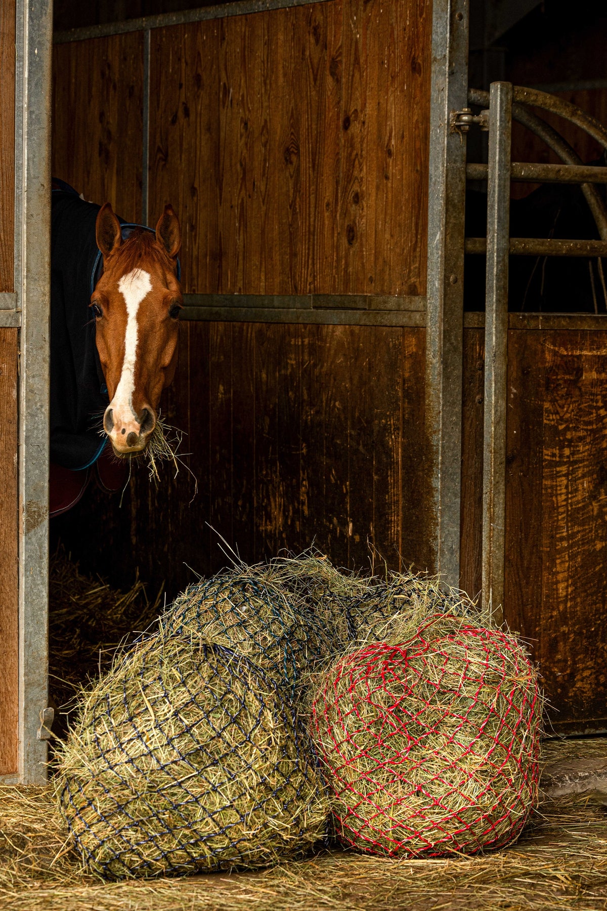 HIPPOTONIC ZARI Hönät (105 cm), 5 x 5 Mesh Utfodring & vattning