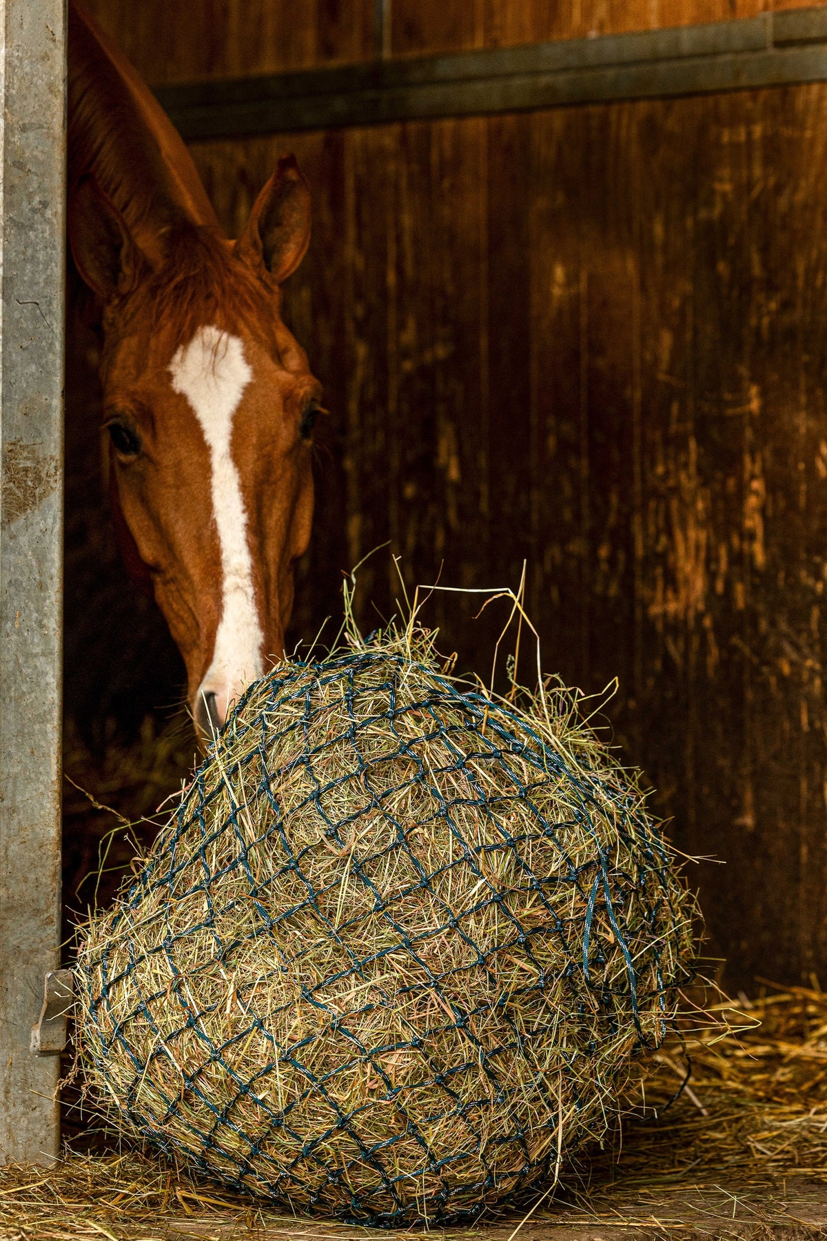 HIPPOTONIC ZARI Hönät (105 cm), 5 x 5 Mesh Utfodring & vattning