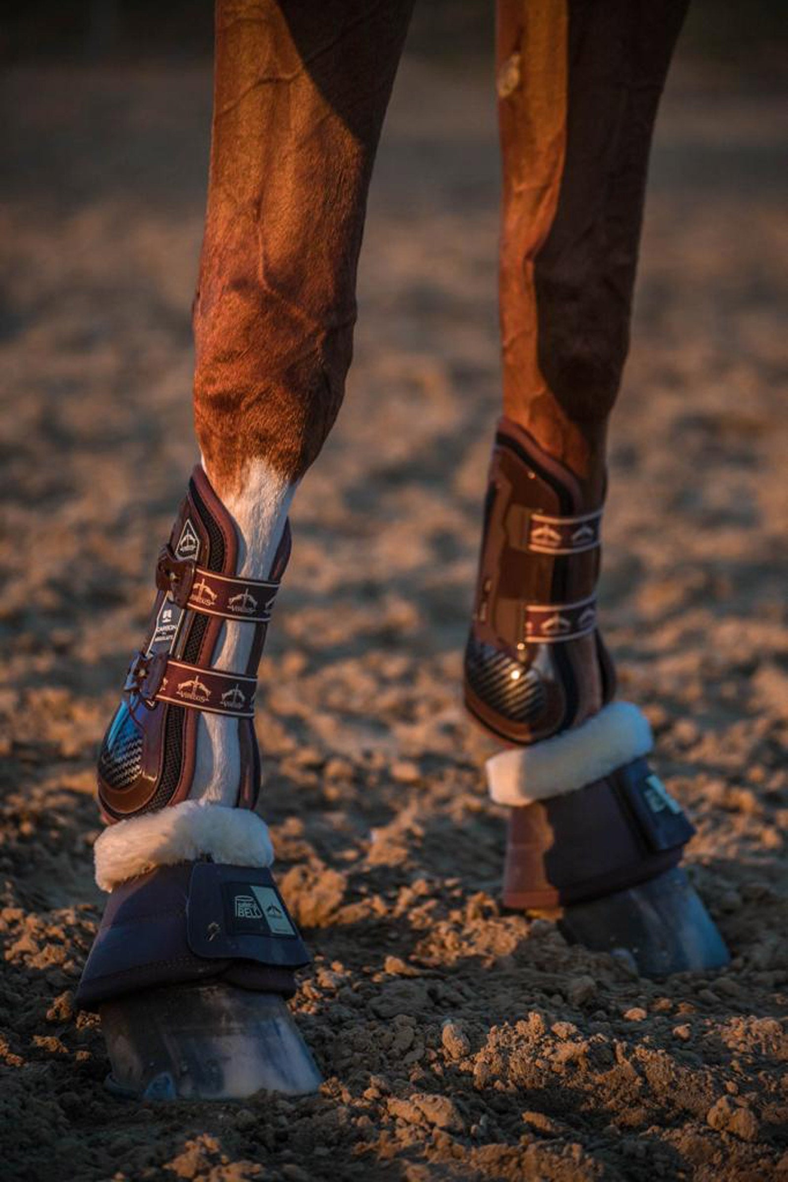 Veredus Carbon Gel Absolute Tendon Boots Leg Protection & Hoof Protection for Horses