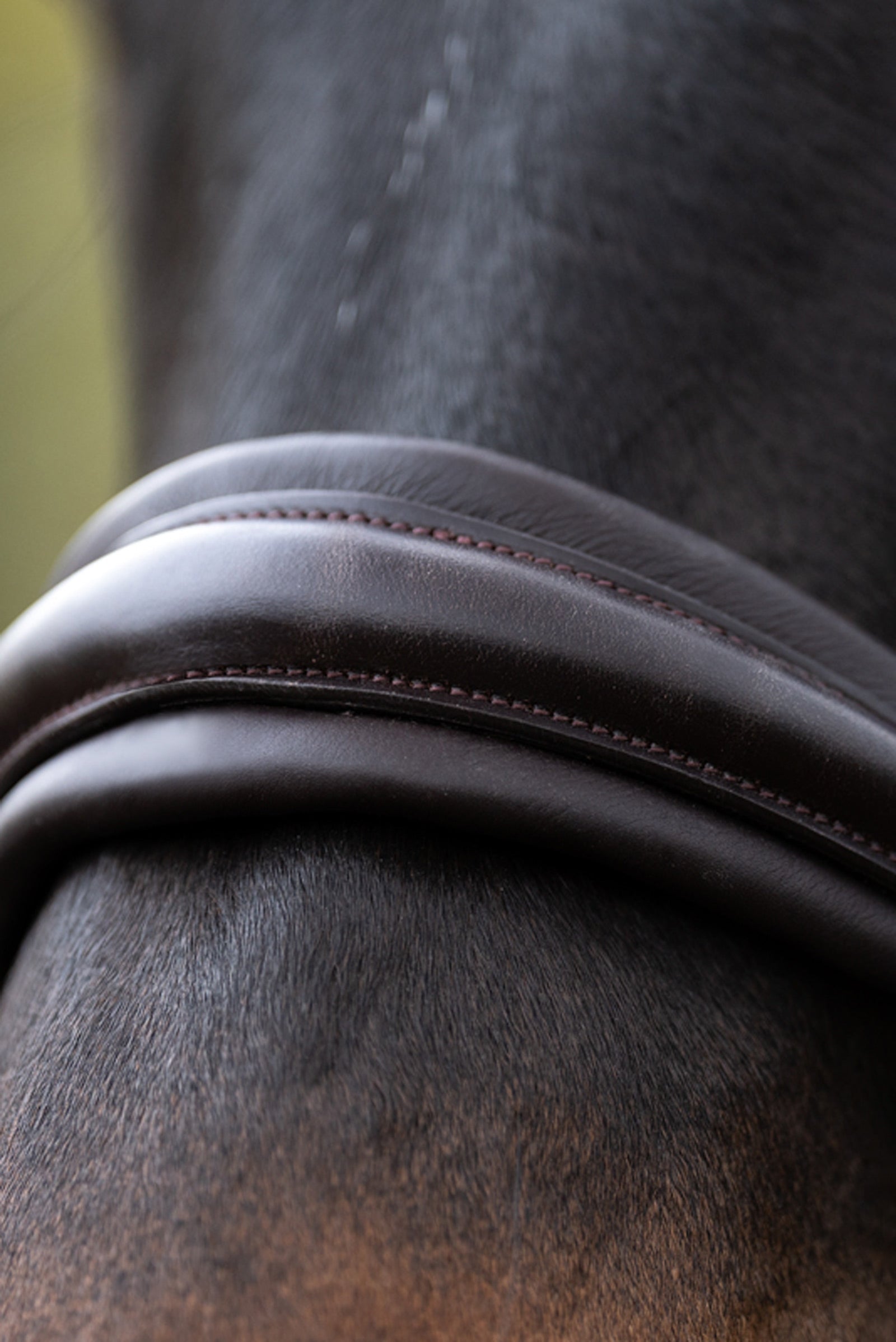 Kavalkade Zora Crank Bridle With Flash Bridles & Reins