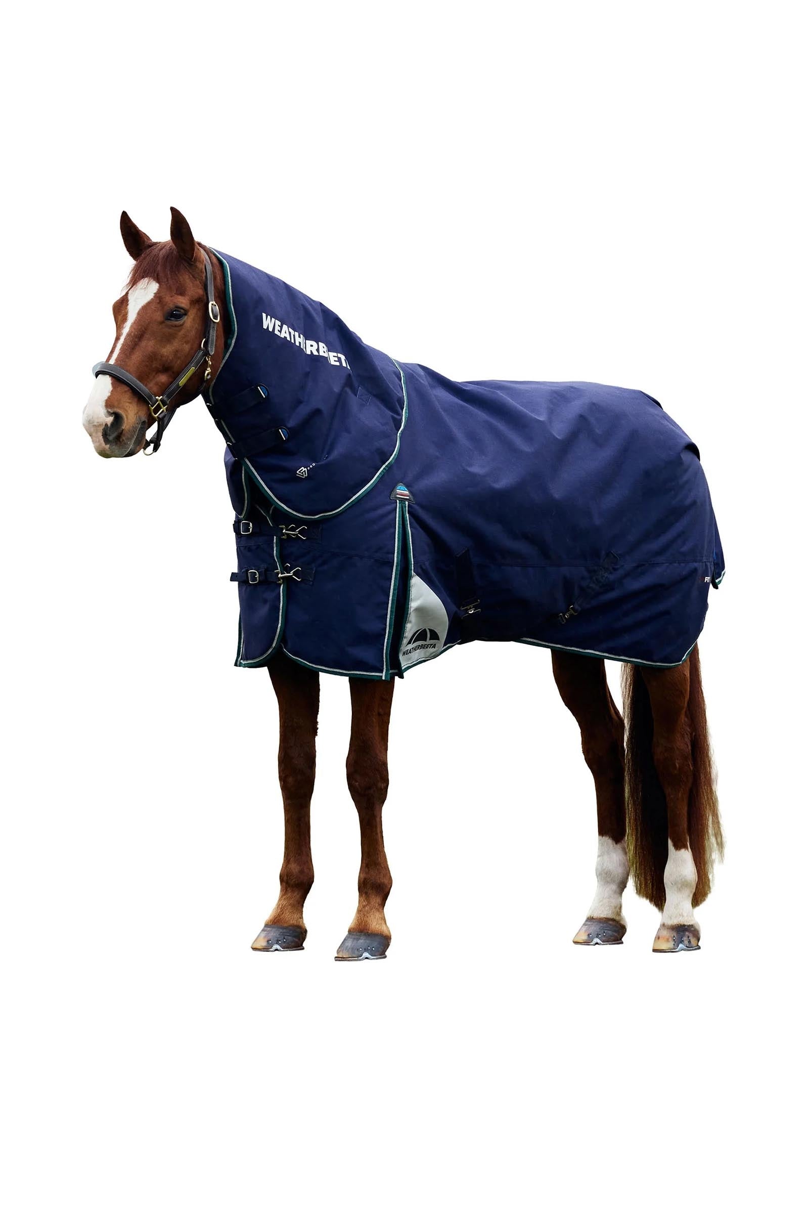 Weatherbeeta Comfitec Plus Dynamic Turnout Rug Detach-A-Neck 360g Hästtäcken