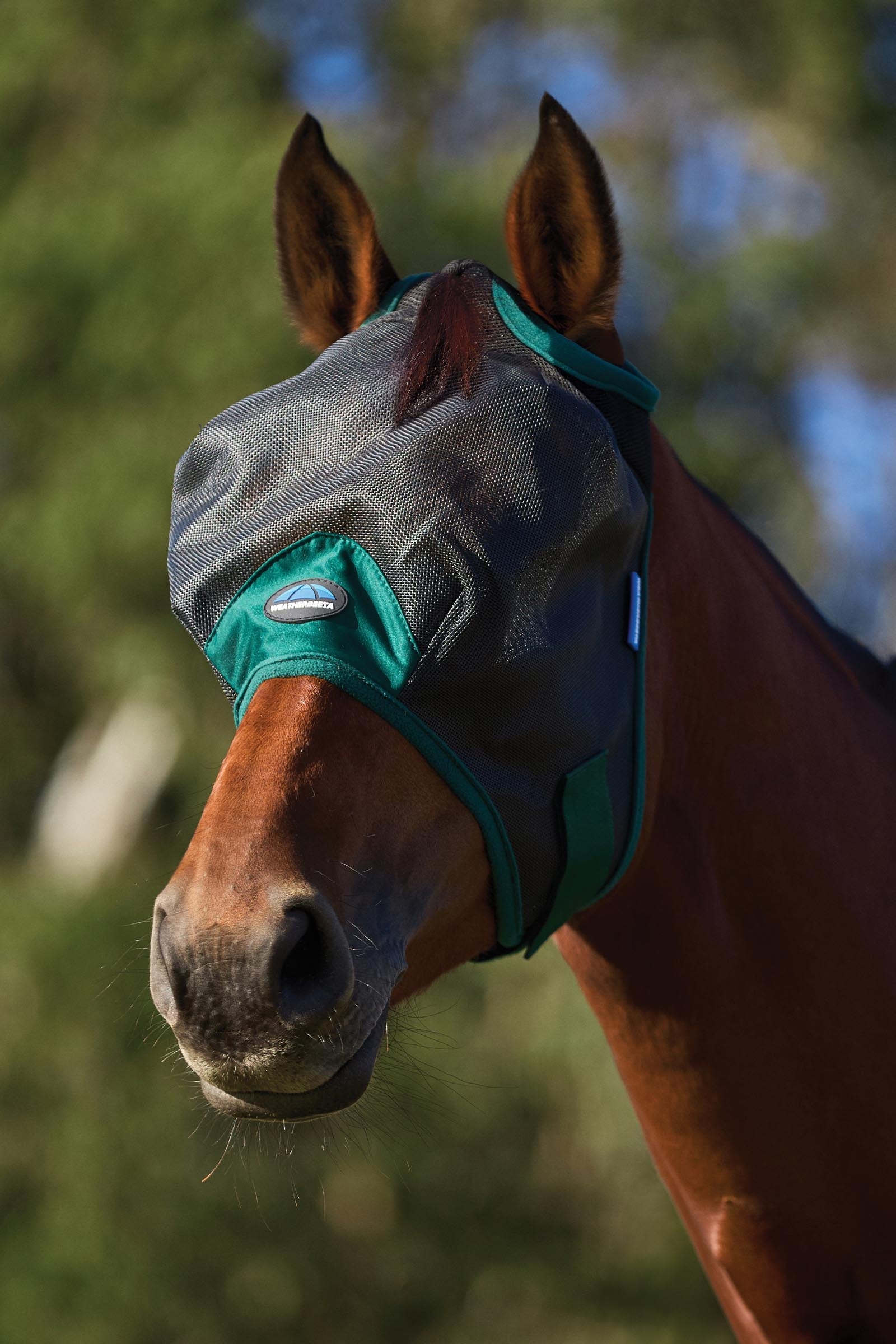 Weatherbeeta Comfitec Durable Mesh Fly Mask Antifly Protection for Horses