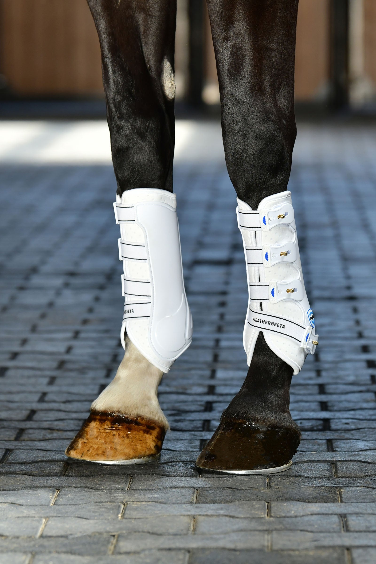 Weatherbeeta Tough-Tec Hard Shell Dressage Boots Leg Protection & Hoof Protection for Horses