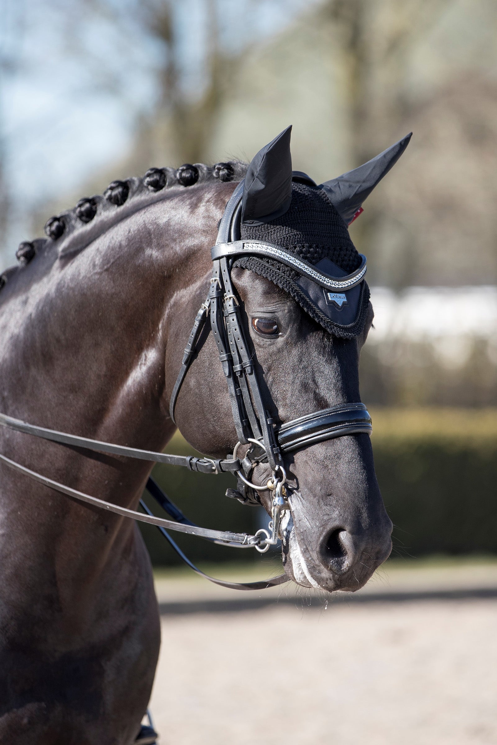 LeMieux Loire Fly Hood Saddle Pads