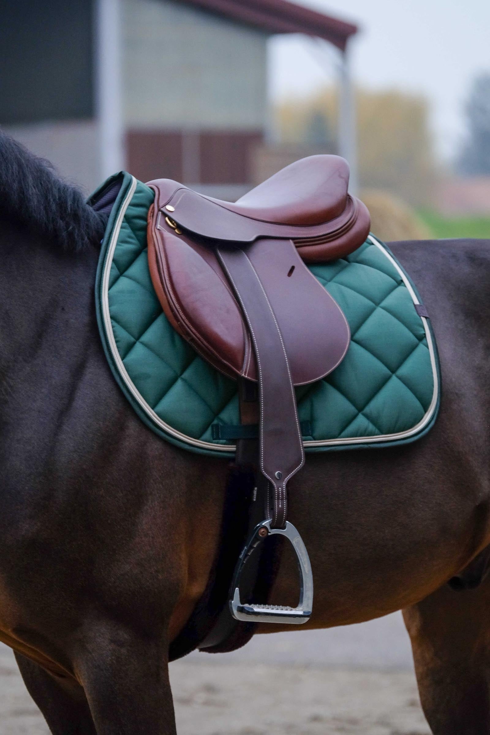 EQUITHÈME Classic Saddle Pad Saddle Pads