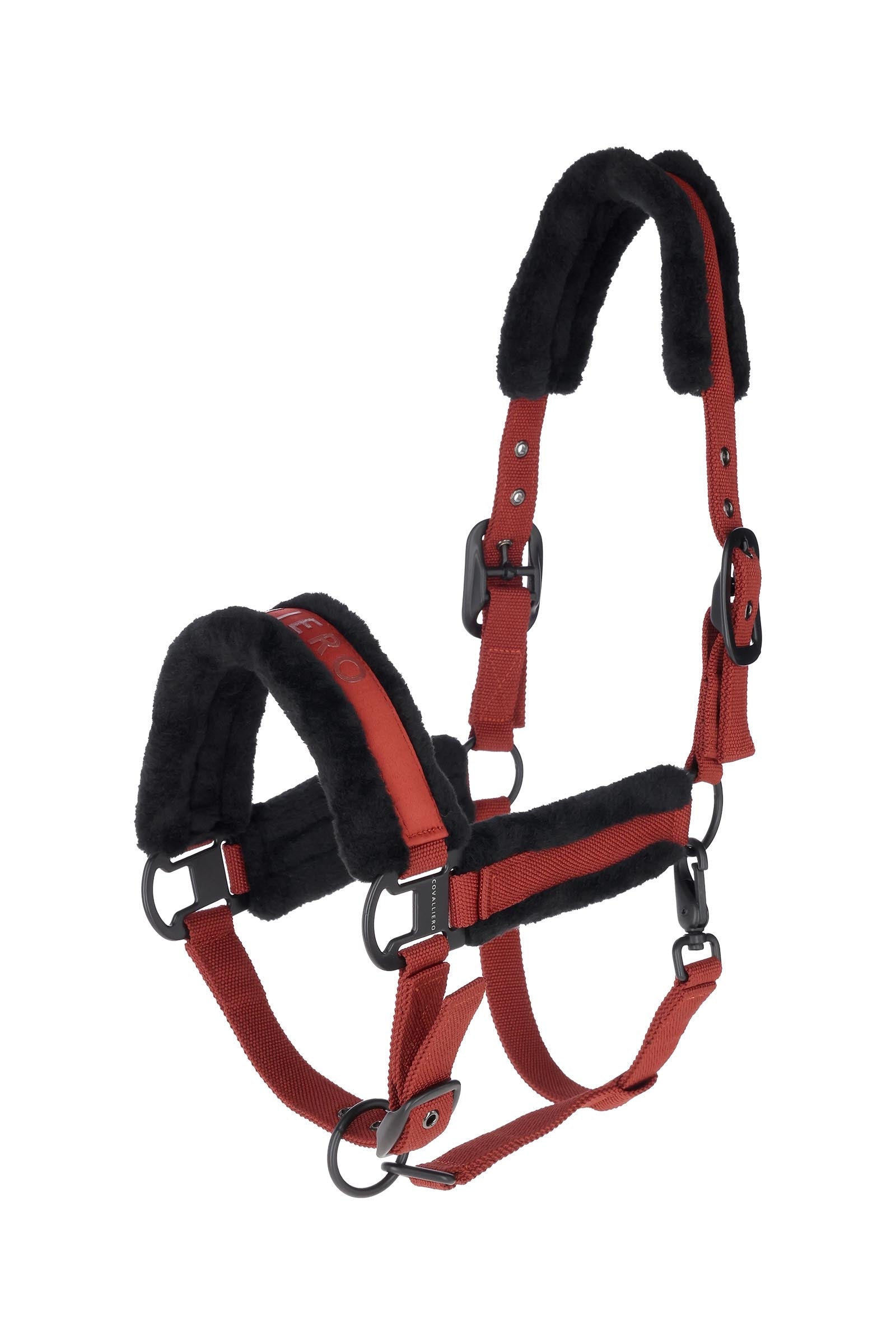 Covalliero Padded Halter Halters & Leads